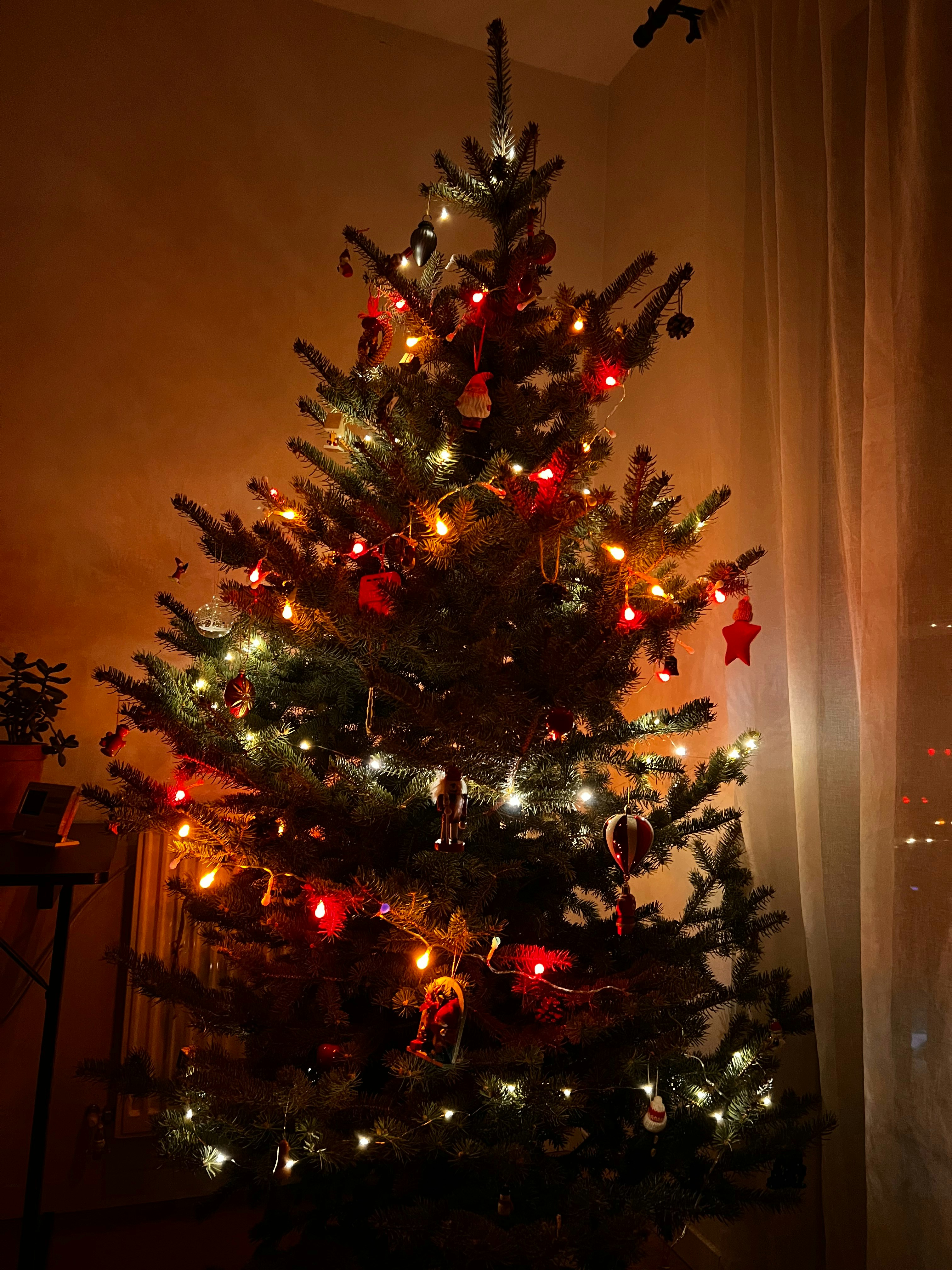 a lit christmas tree in a corner of a room