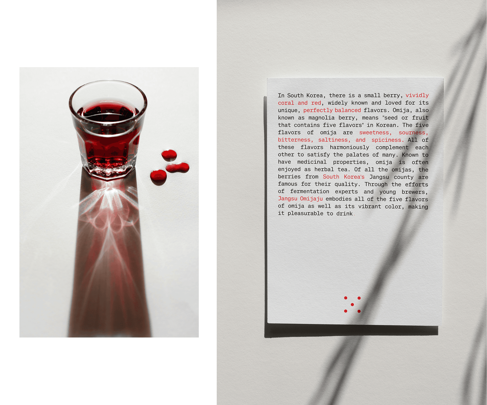 Large Project Gallery Image #1