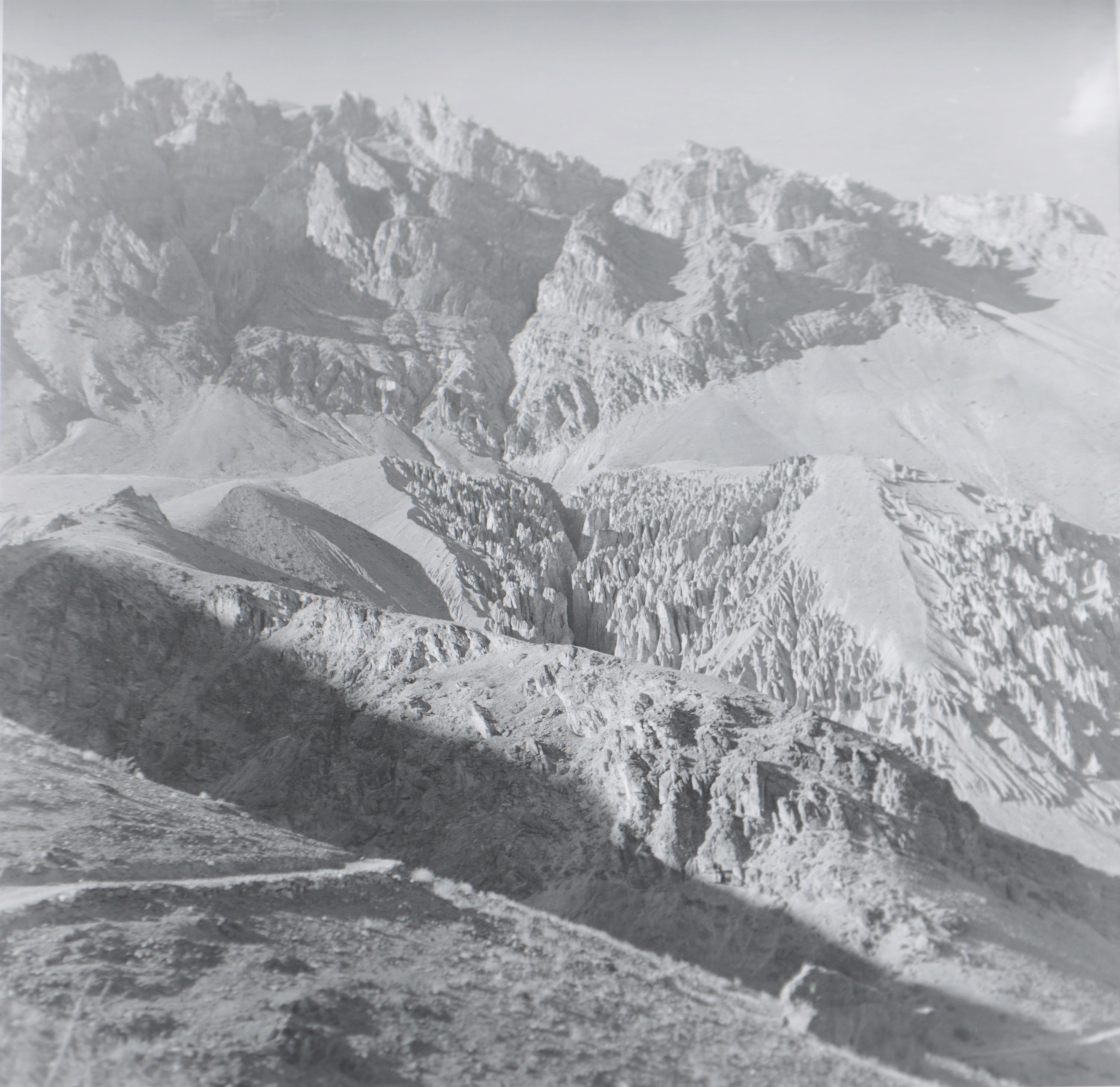 herd of sheep on road painting
