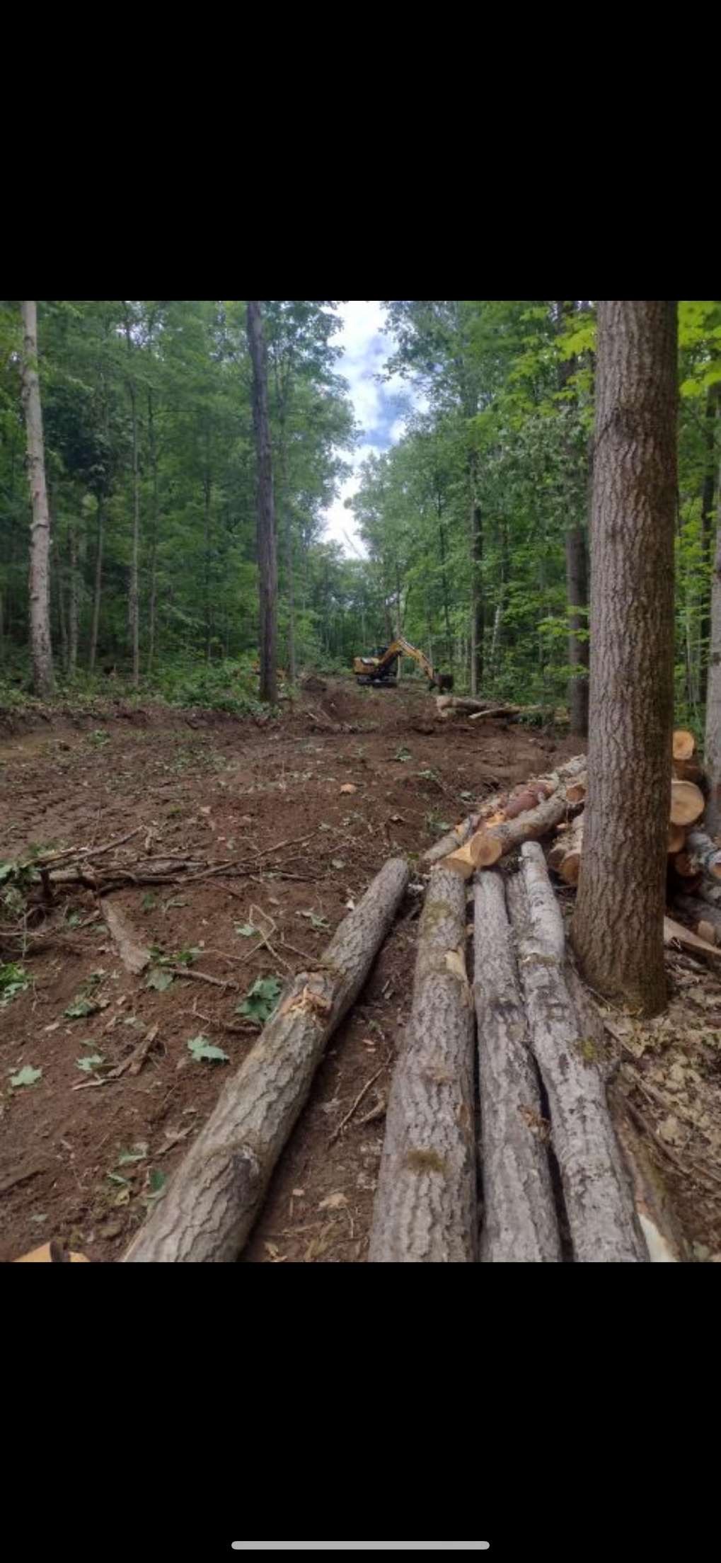 a tree cut up in large logs with a excavator in the background