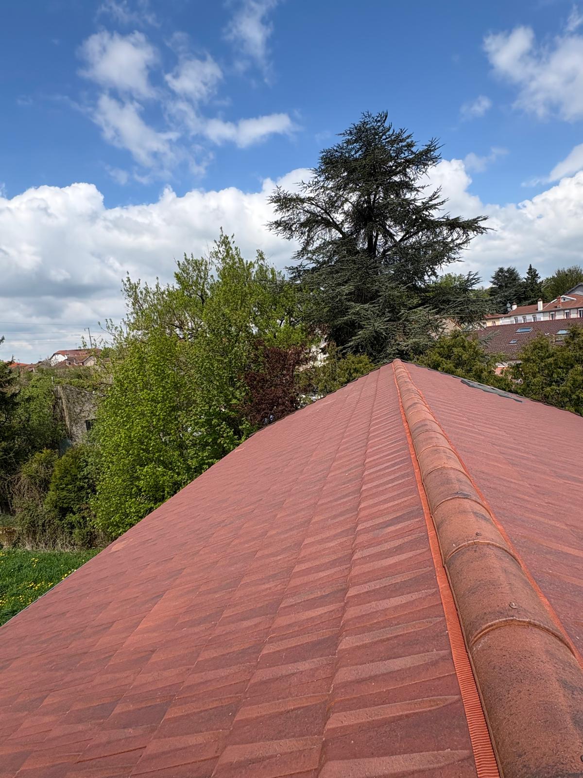 Couvreur AJS Toiture securisant une toiture après chute d'arbre à Marly