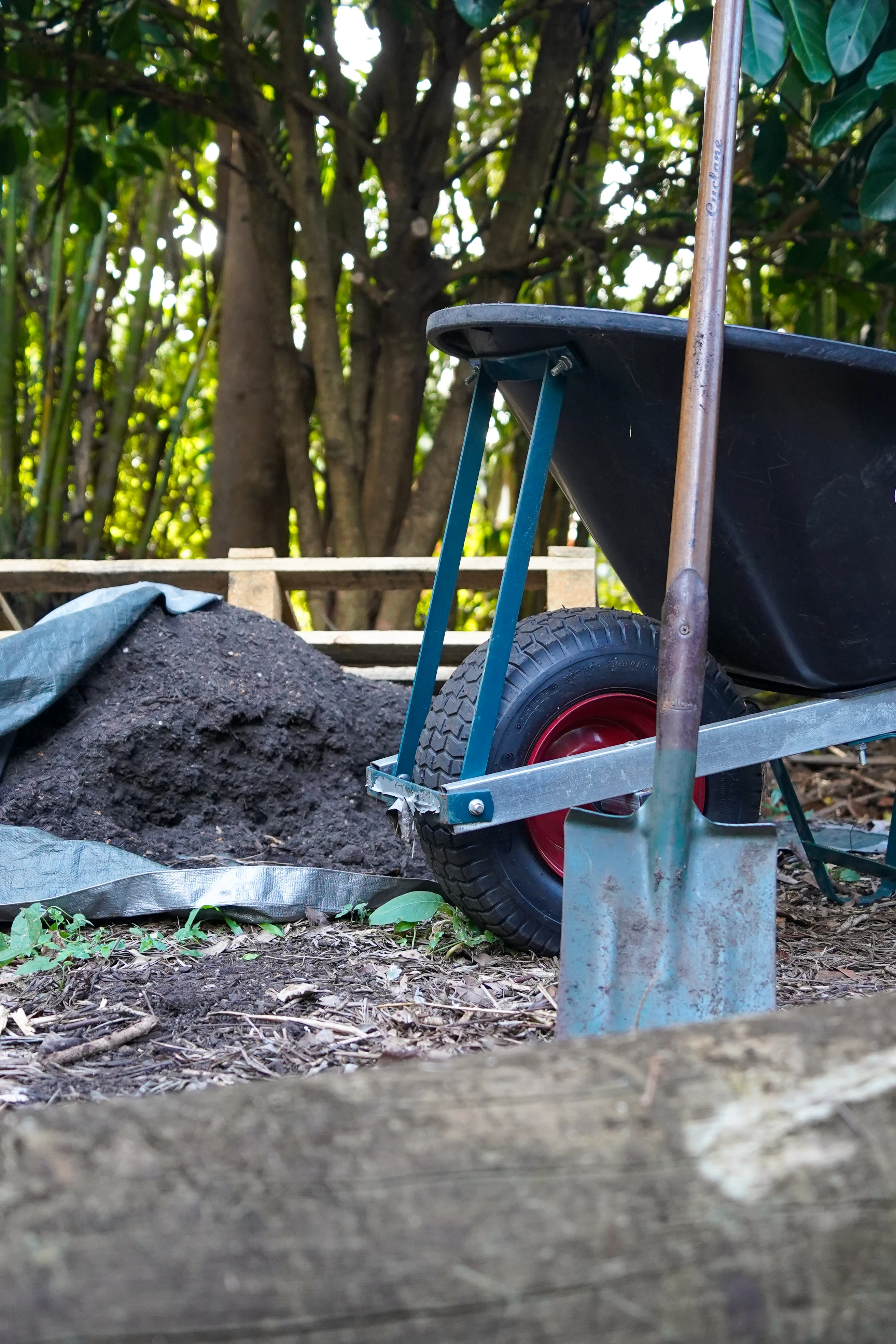 Garden tidy equipment in Ewingsdale