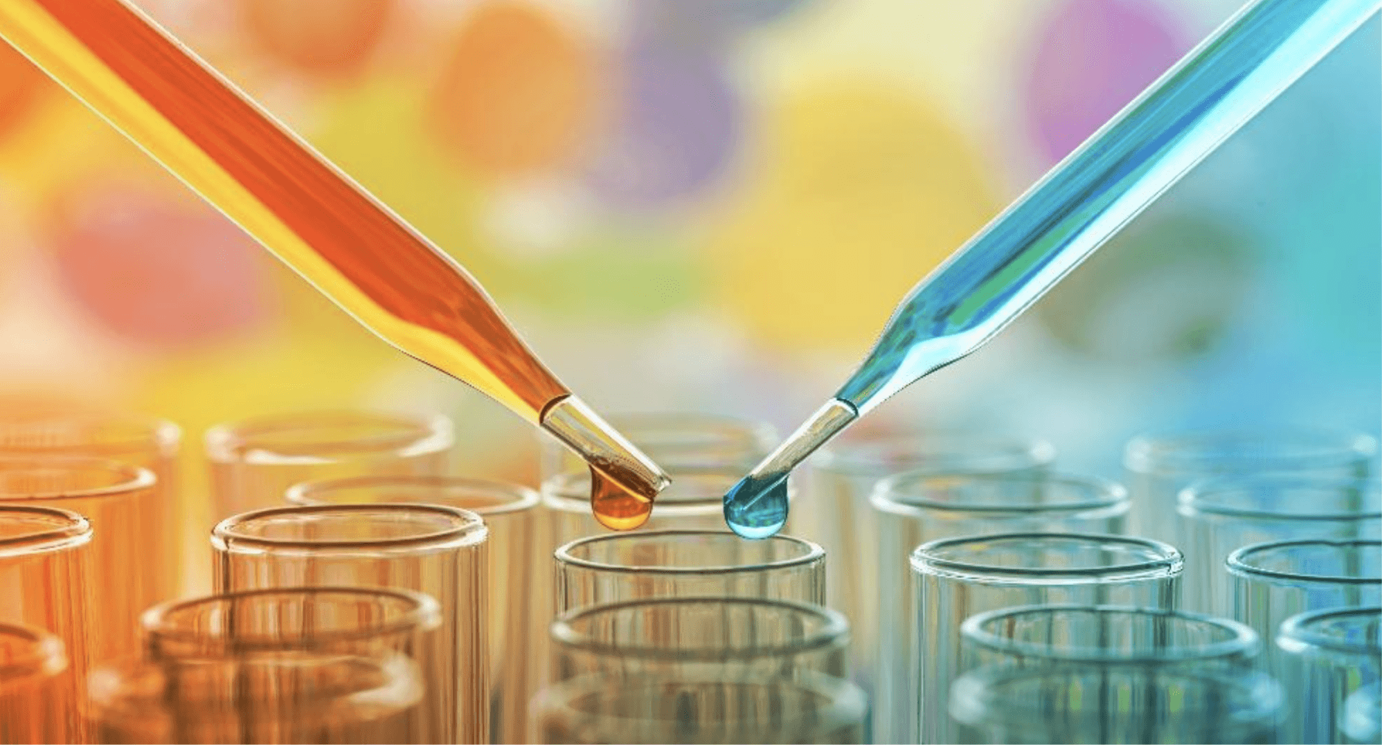 Understanding Acid-Base Indicators and Their Reversible Reactions ...