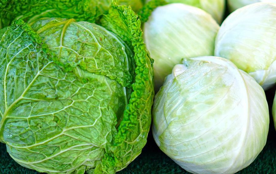 Cibi ricchi di vitamina K