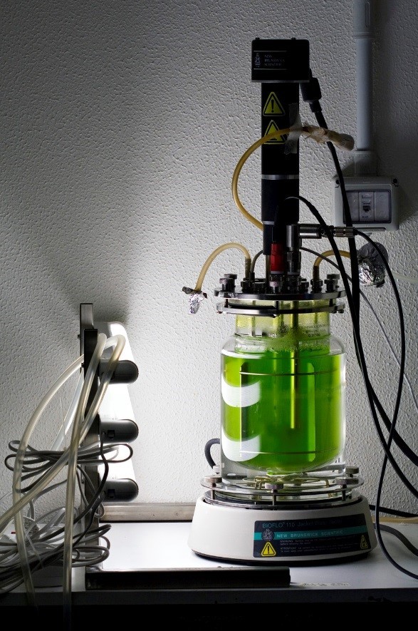 bioreactor