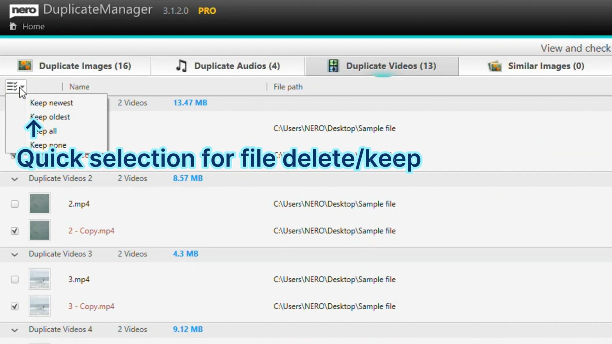 Efficient Duplicate File Management