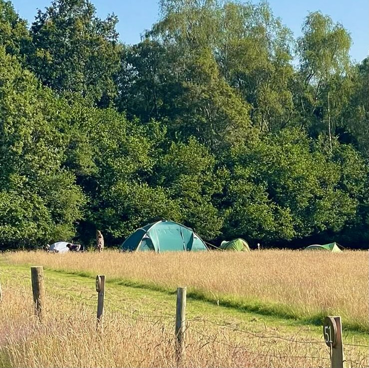 Family Camping  at Deer Park Campsite, Sussex