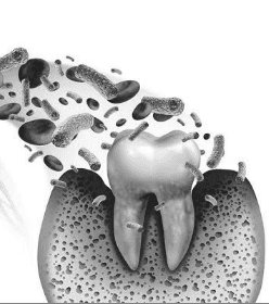 Tooth to heart image