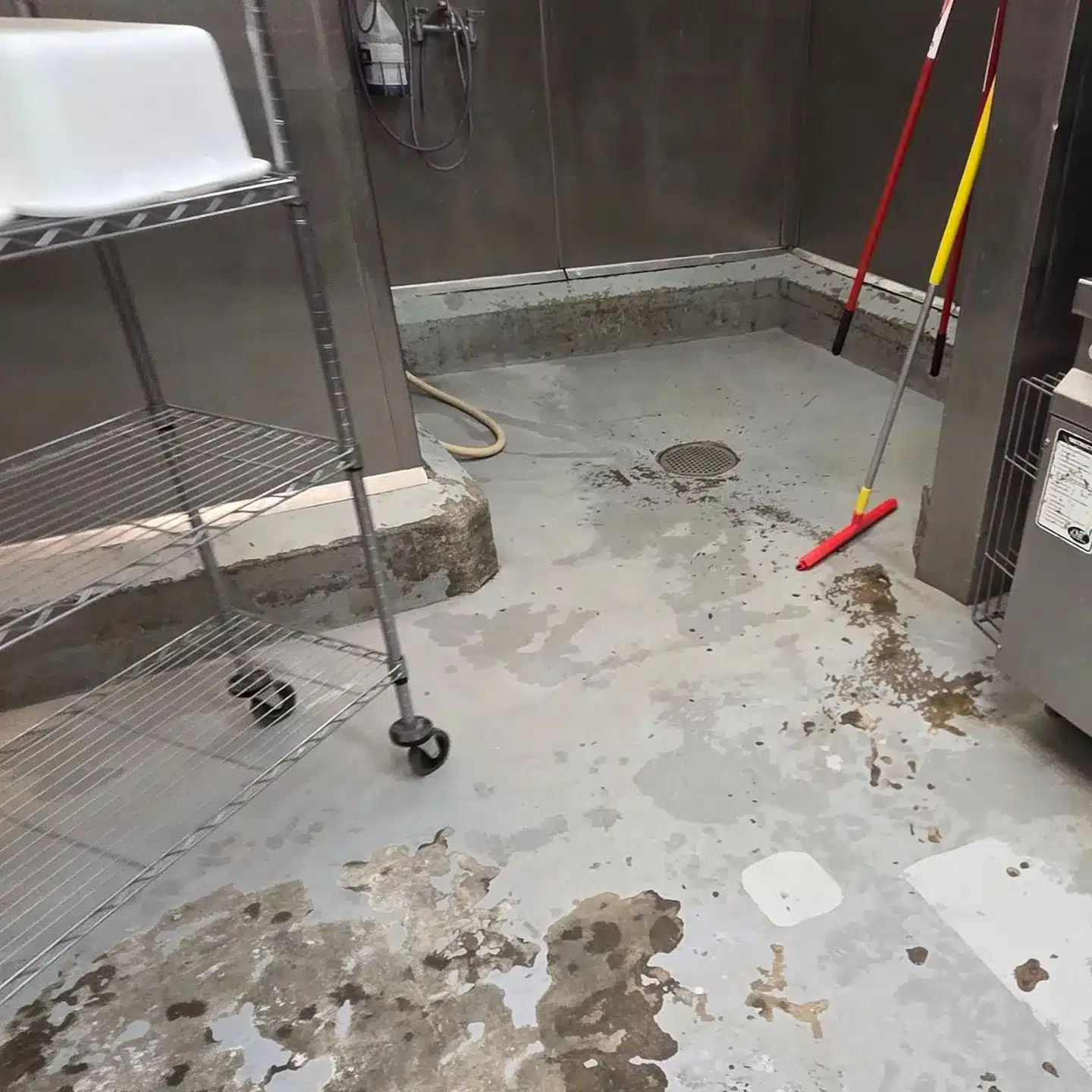 Urethane Cement Flooring Project Gallery (5) — Select Coatings project photo