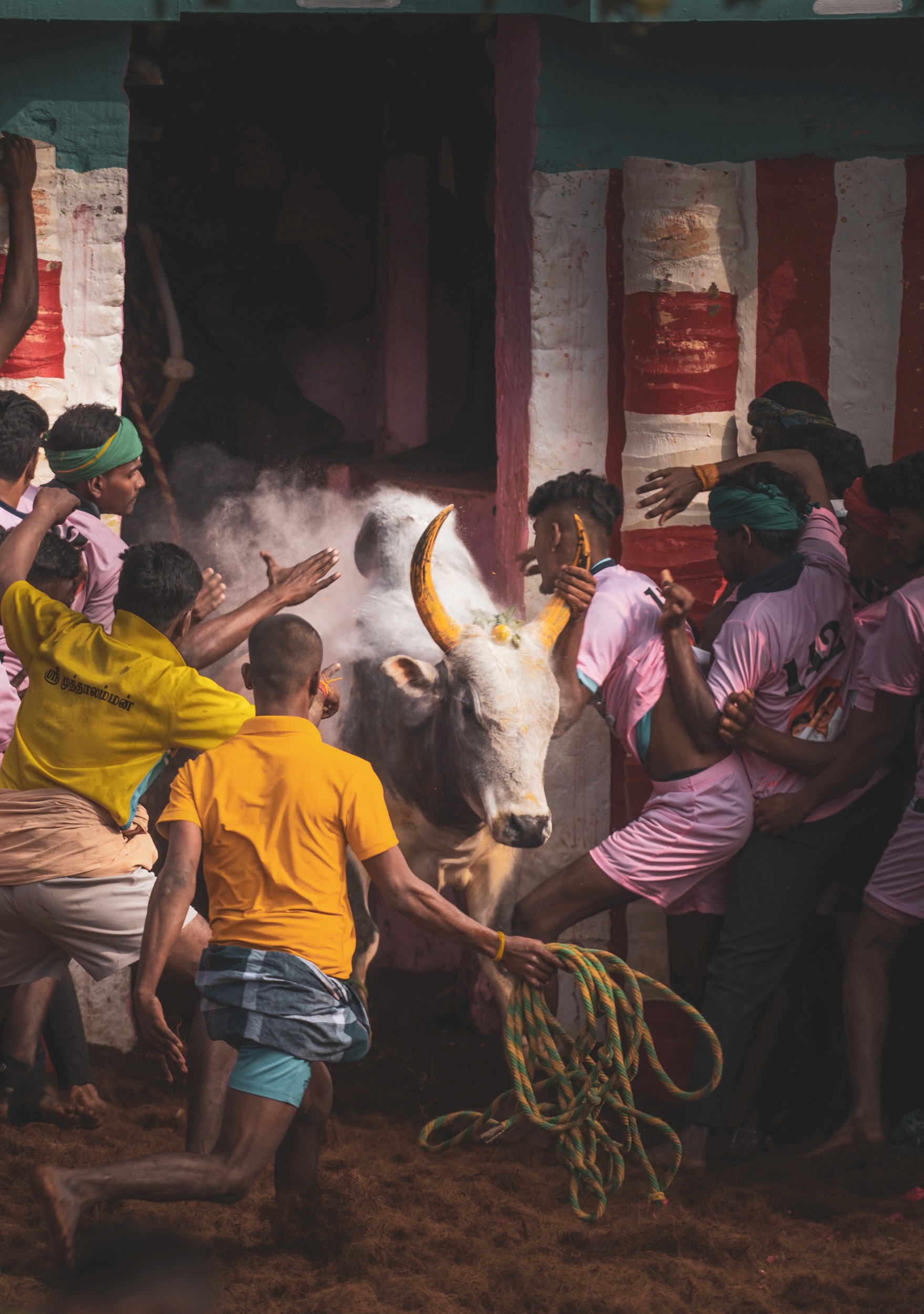 The Dust Storm — The raw, violent energy of the soil kicked up by the beast.