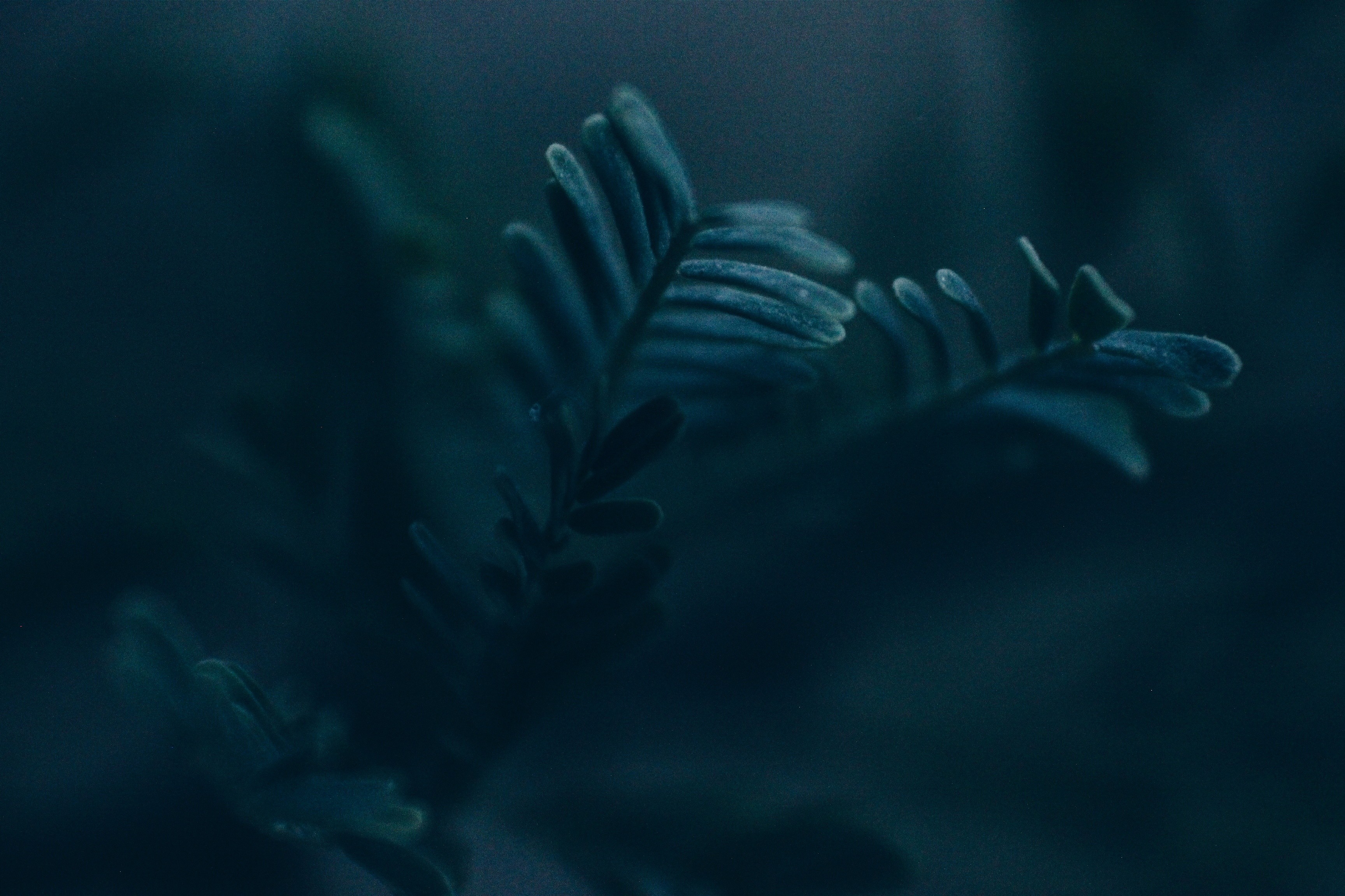 a group of people walking on a sidewalk