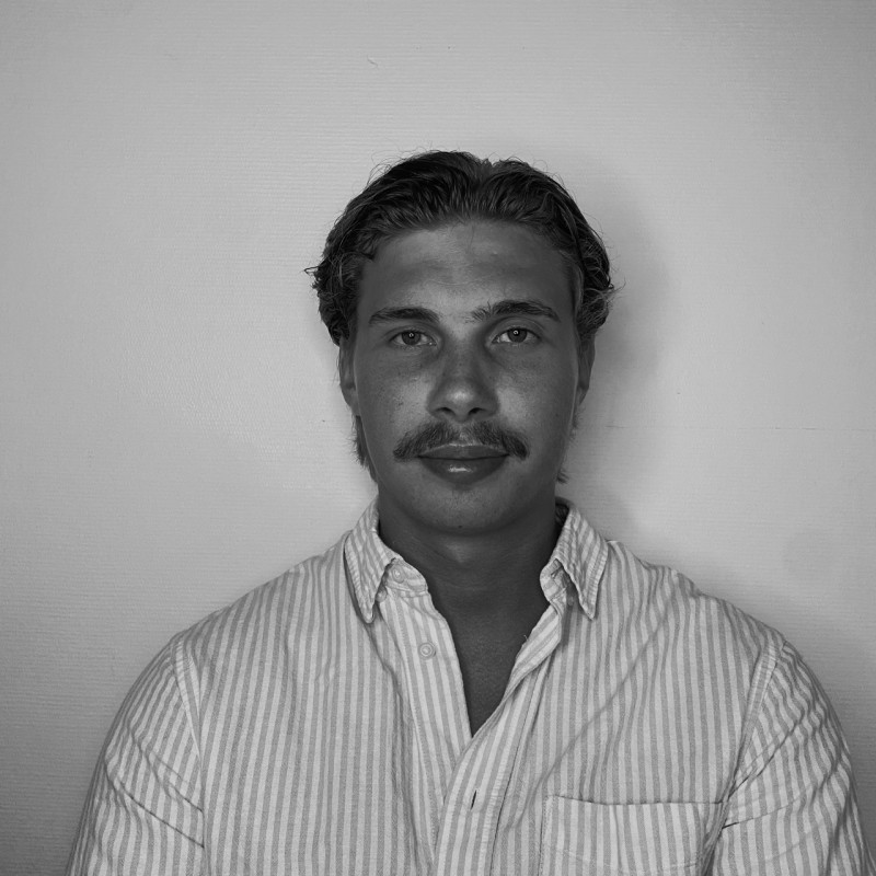 Team Member