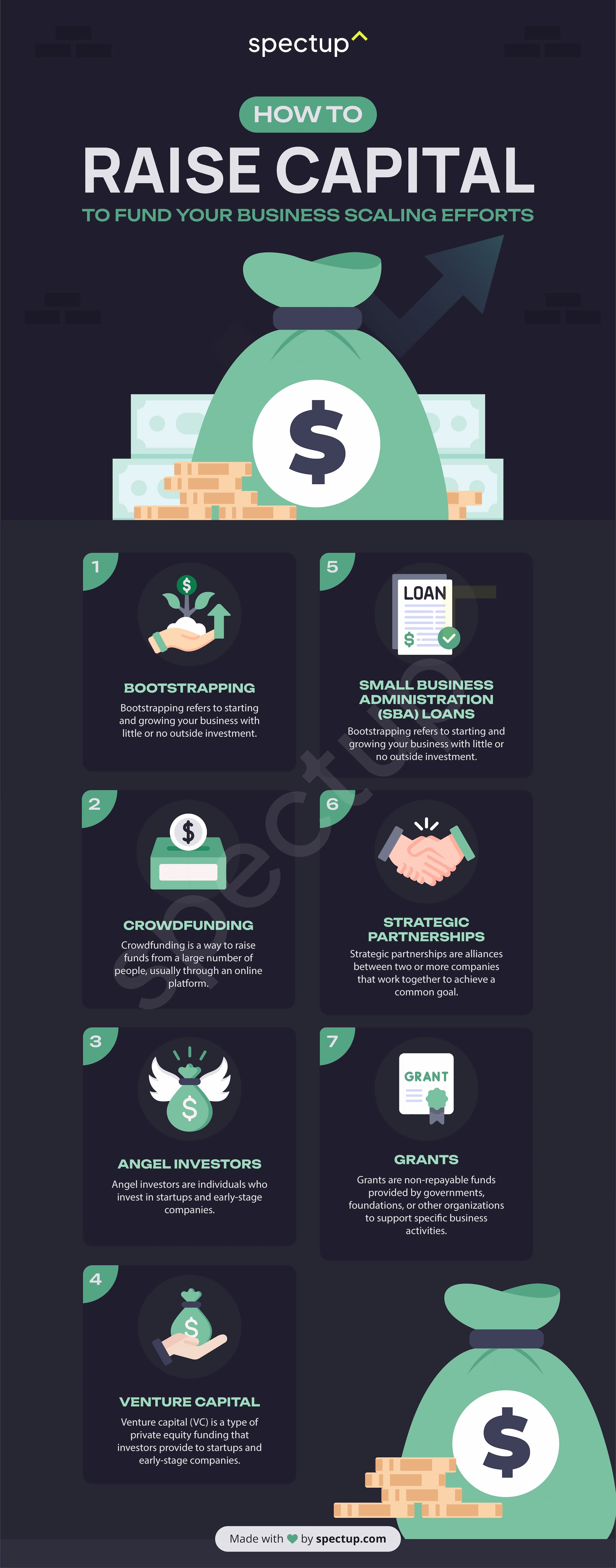 Infographic: How to Raise Capital to Fund Your Business Scaling Efforts