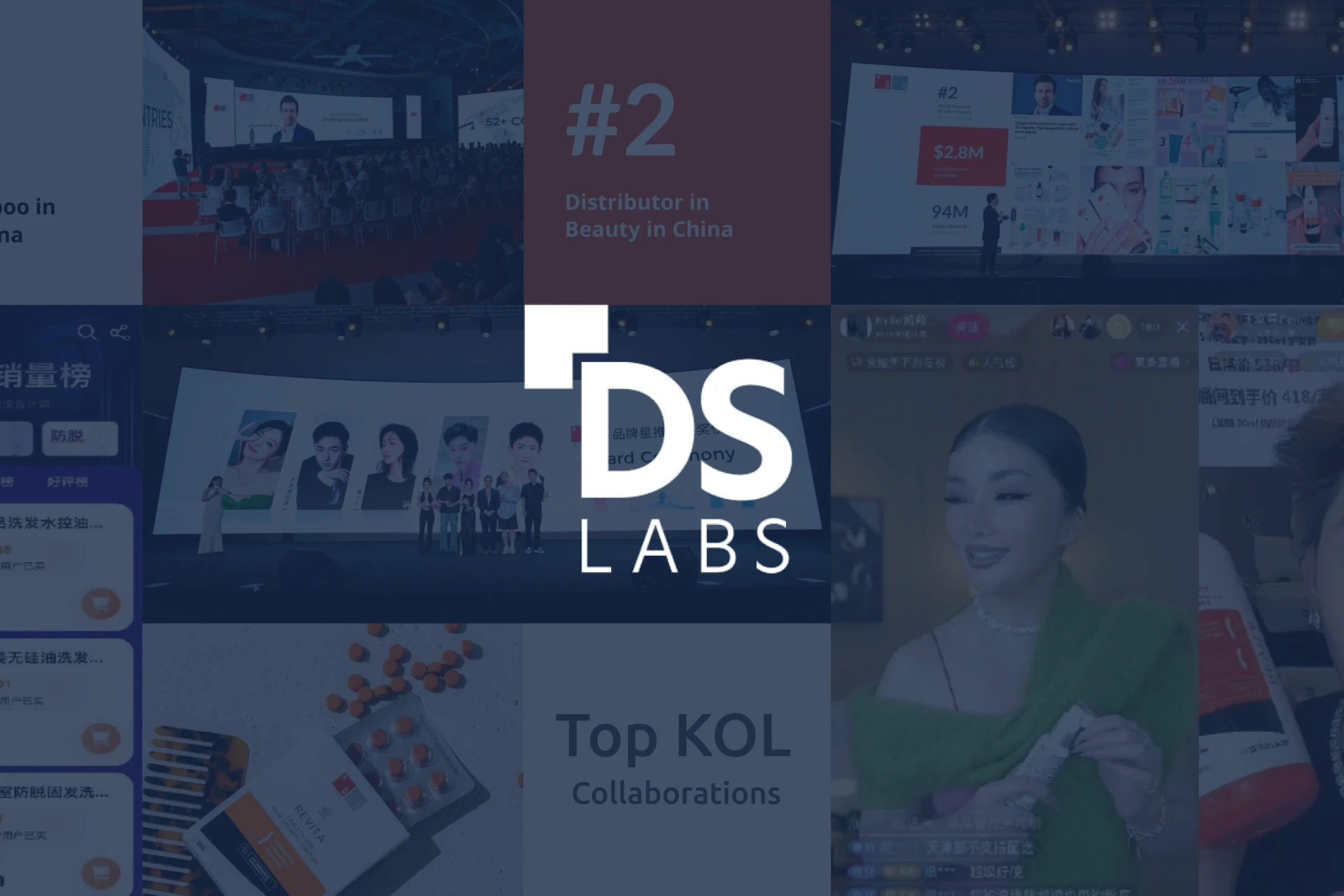 DS Labs logo on dark card with Chinese promotions in background