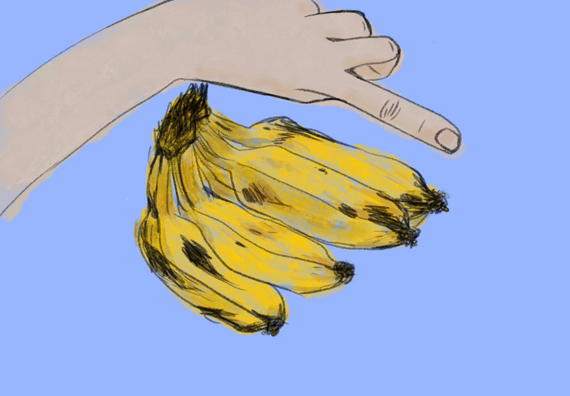 Thai Banana Drawing - My Dao Designer Portfolio
