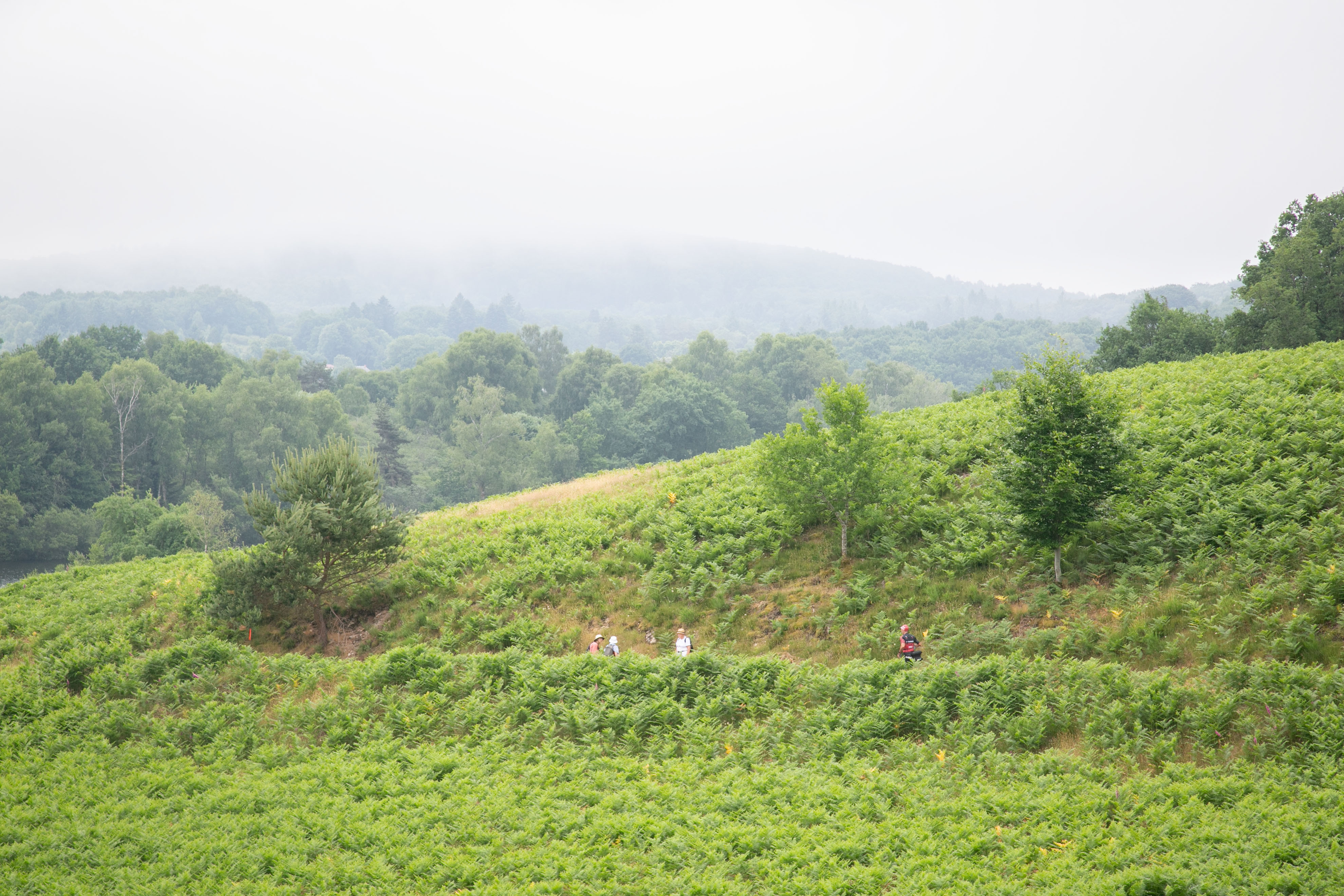 DEBUTANT SWIMRUN COURSE