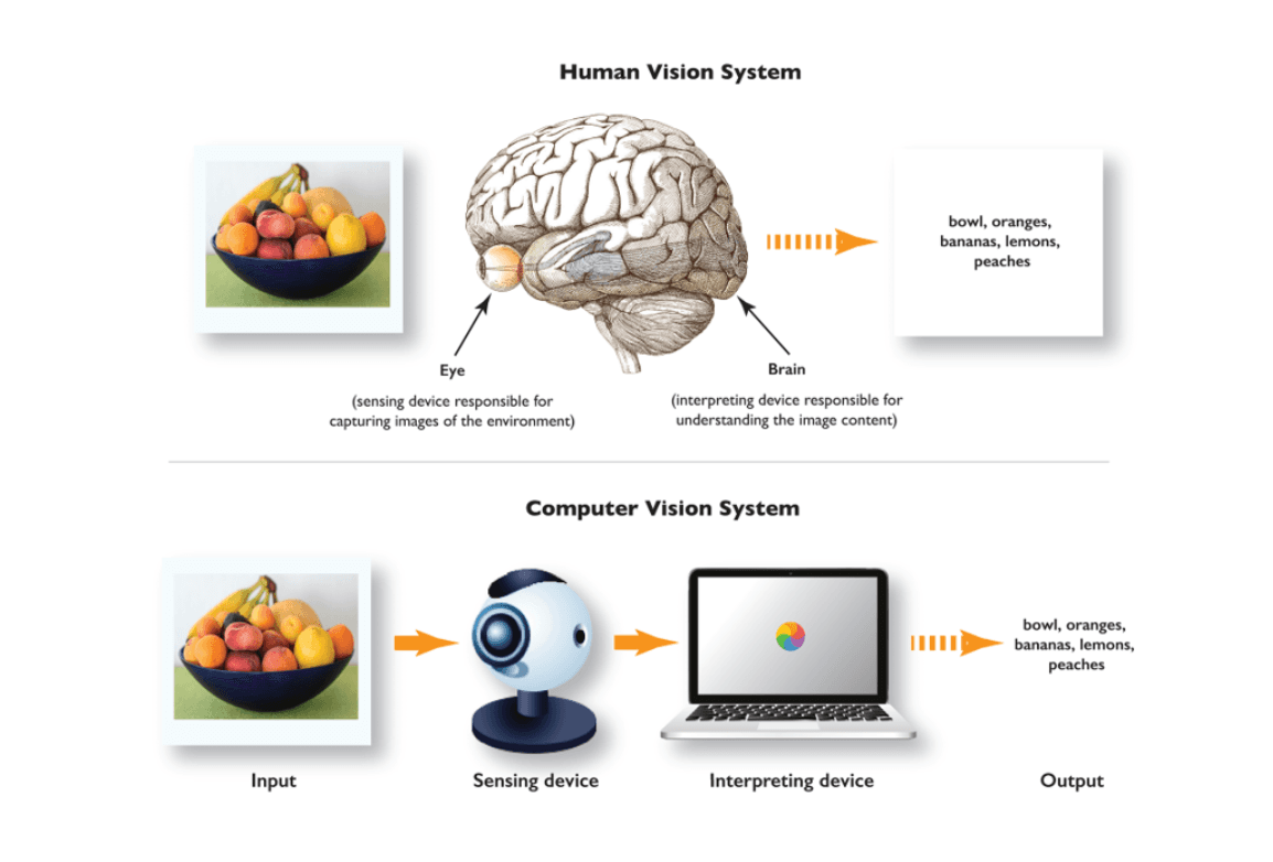 Human Vision System vs. Computer Vision System