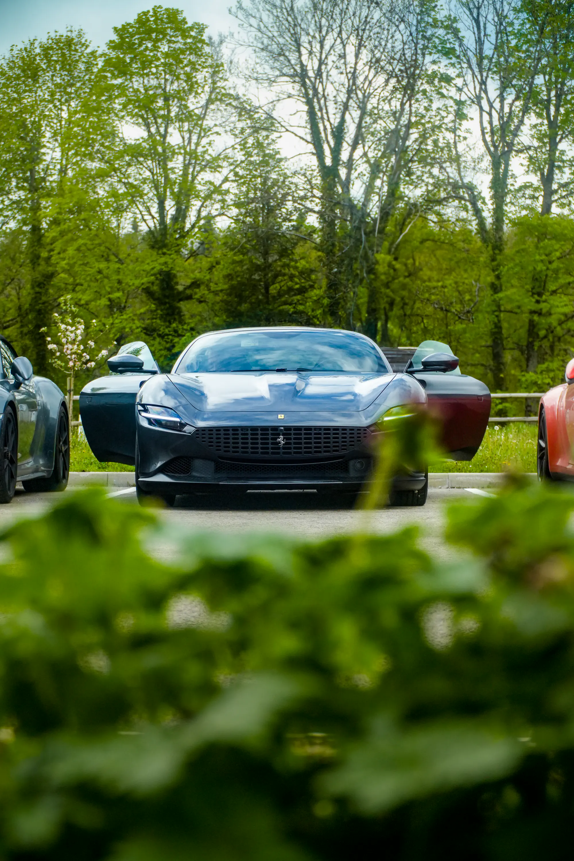 Ferrari Roma grise vue de face, derrière un premier plan de feuillage