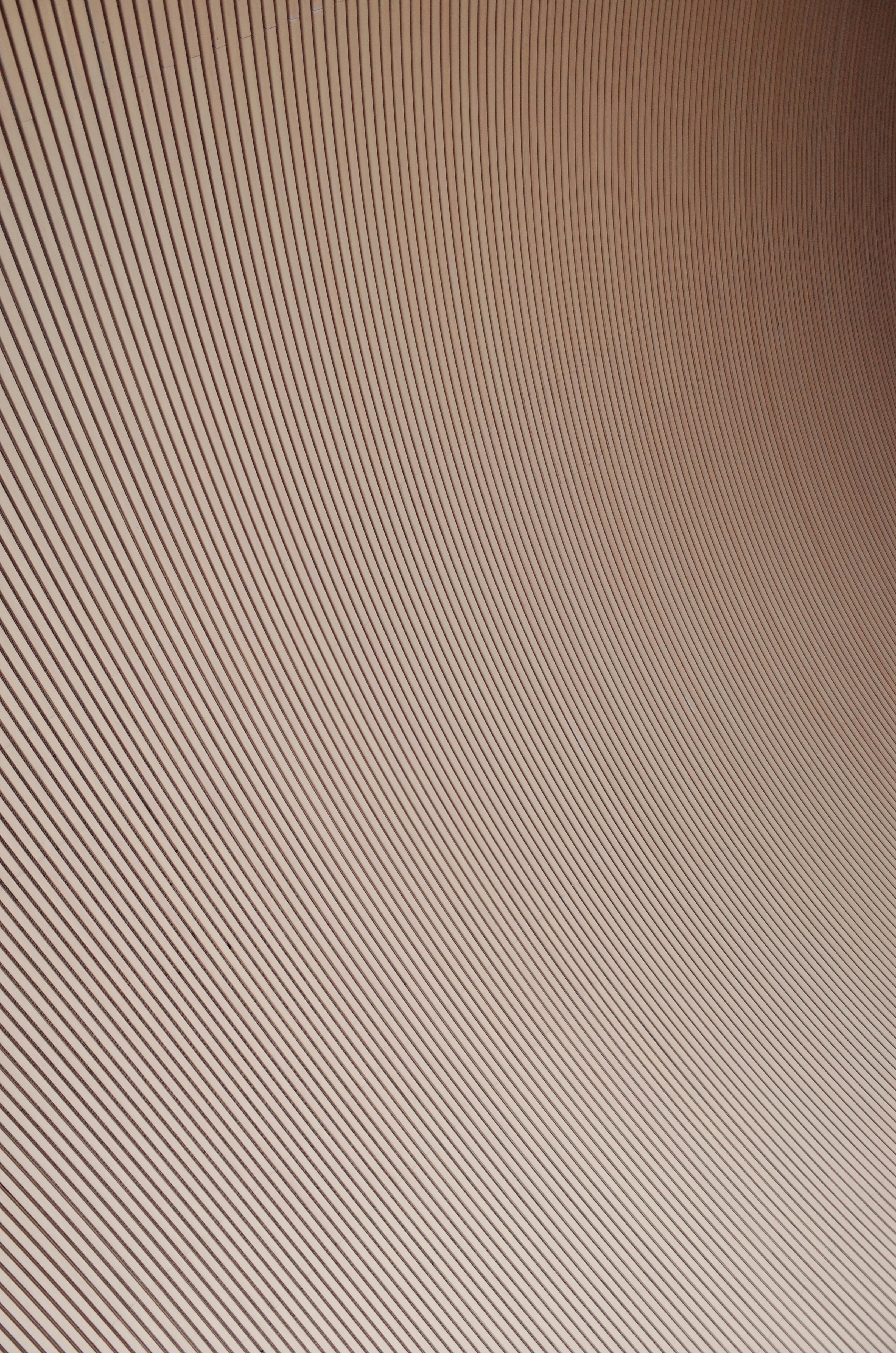 How to Study Statistics [Guide for University Students]