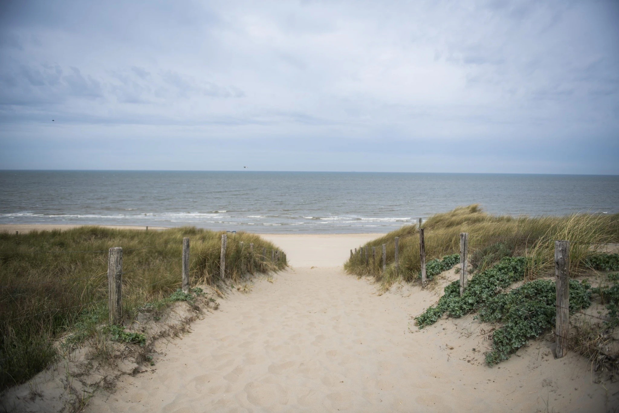 Clappform Municipality of Noordwijk Beach
