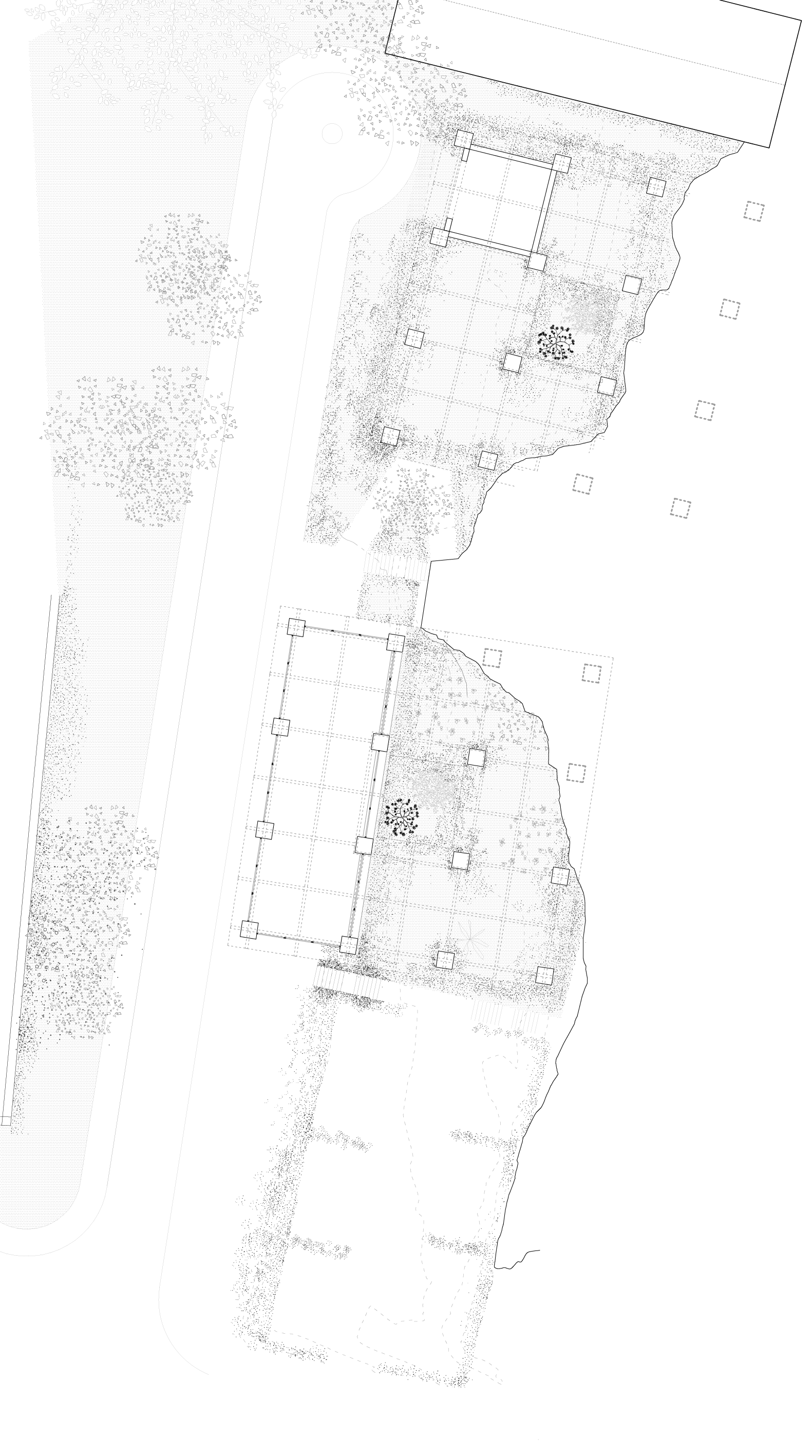 Planta baja espai comú