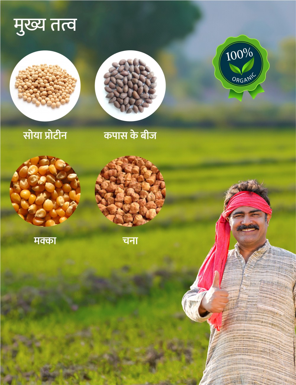 Premium Payal calf starter ingredients