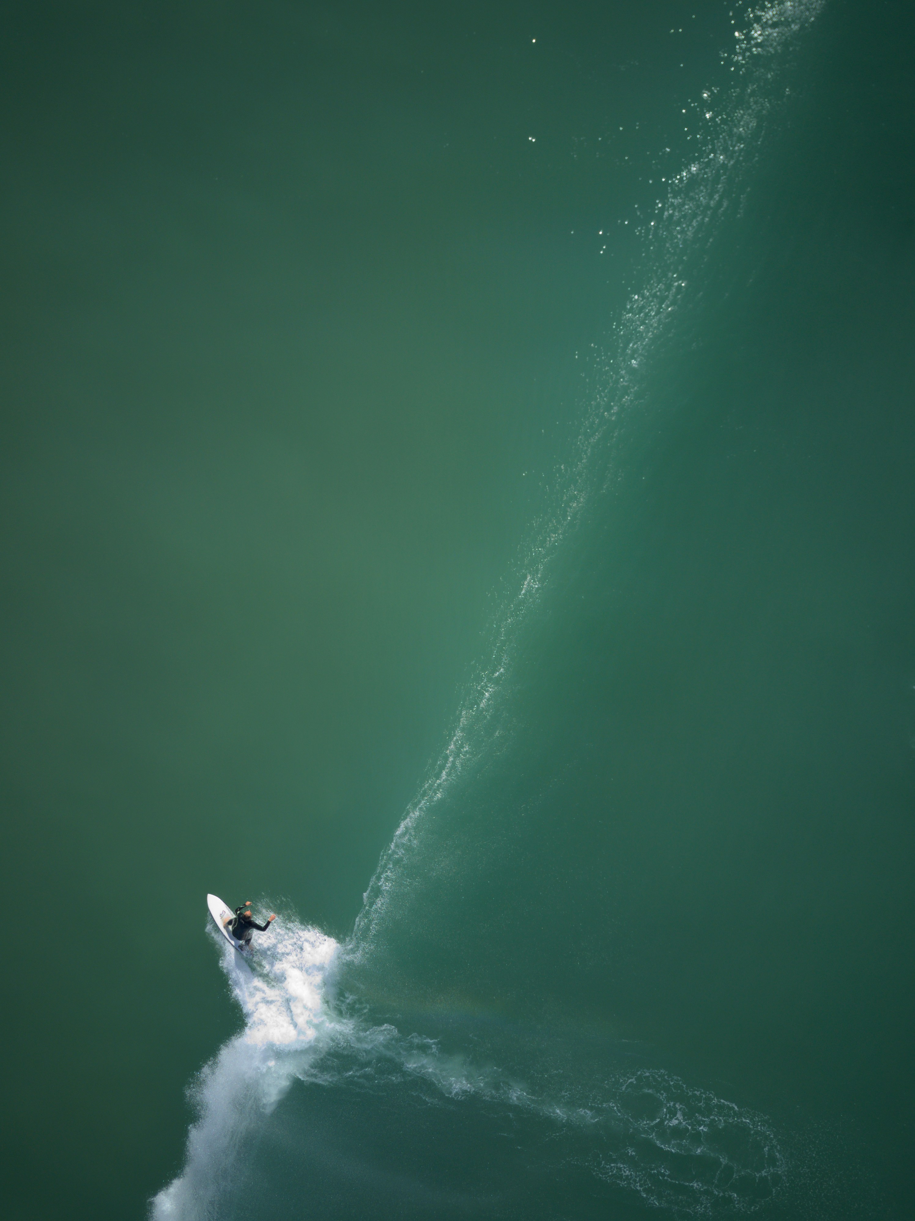 A group of people kayaking in a fjord.