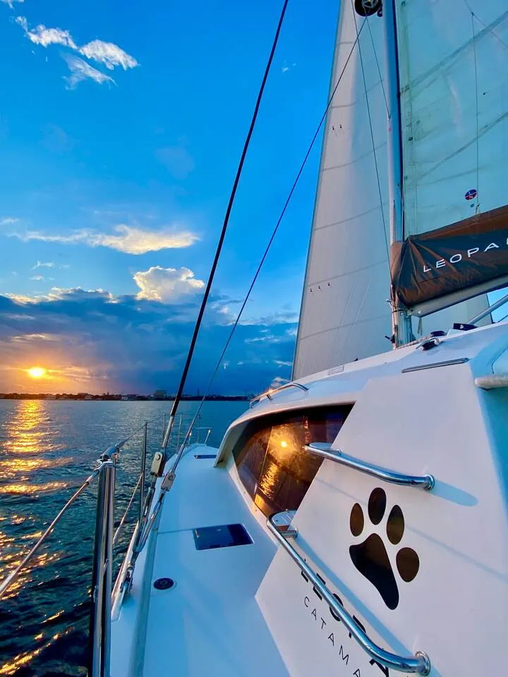 Sunset from the deck of the hosts’ sailing catamaran, with a paw-print decal on the hull