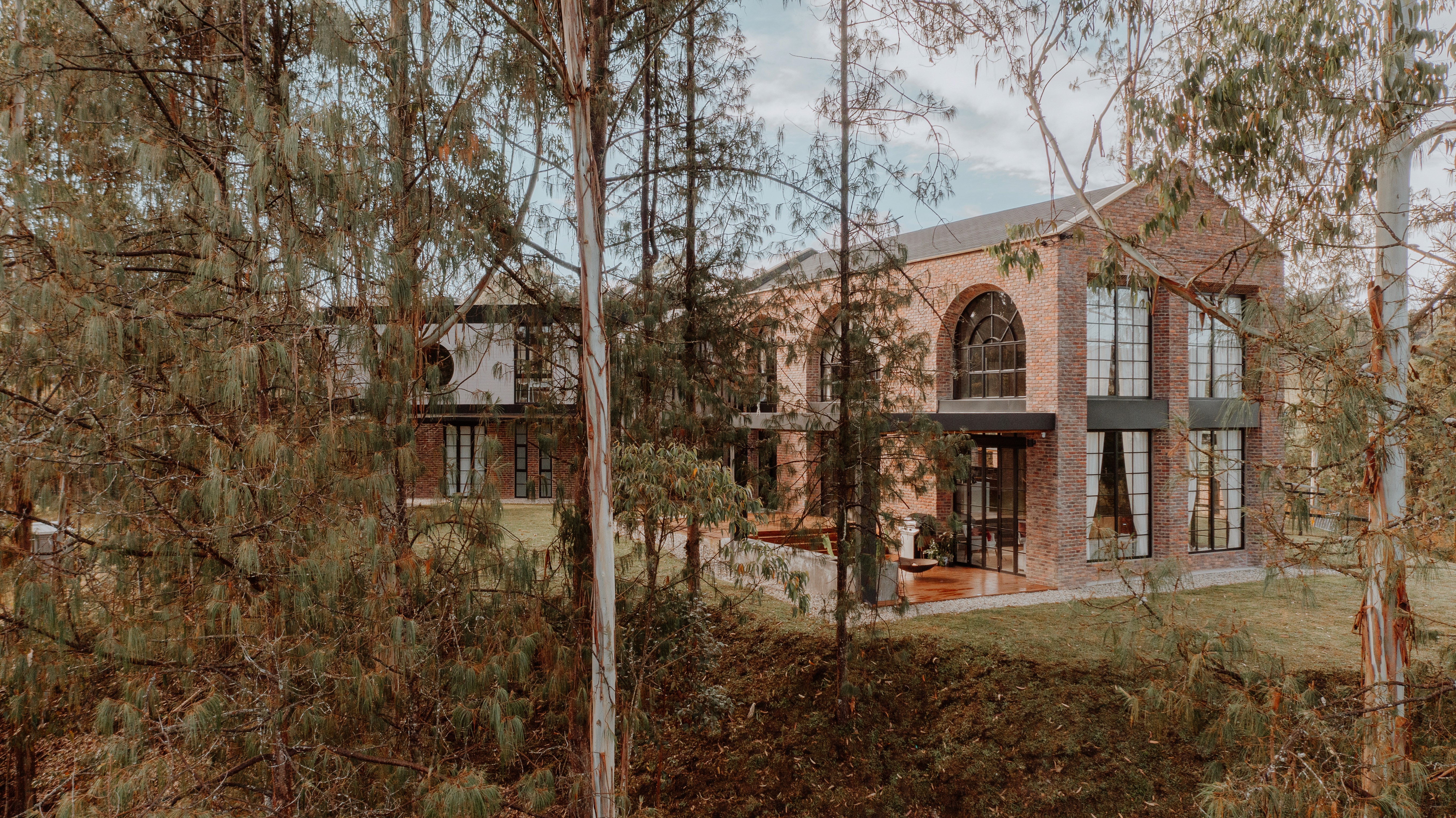 Double-height interior with flowing sculptural forms and warm raking light