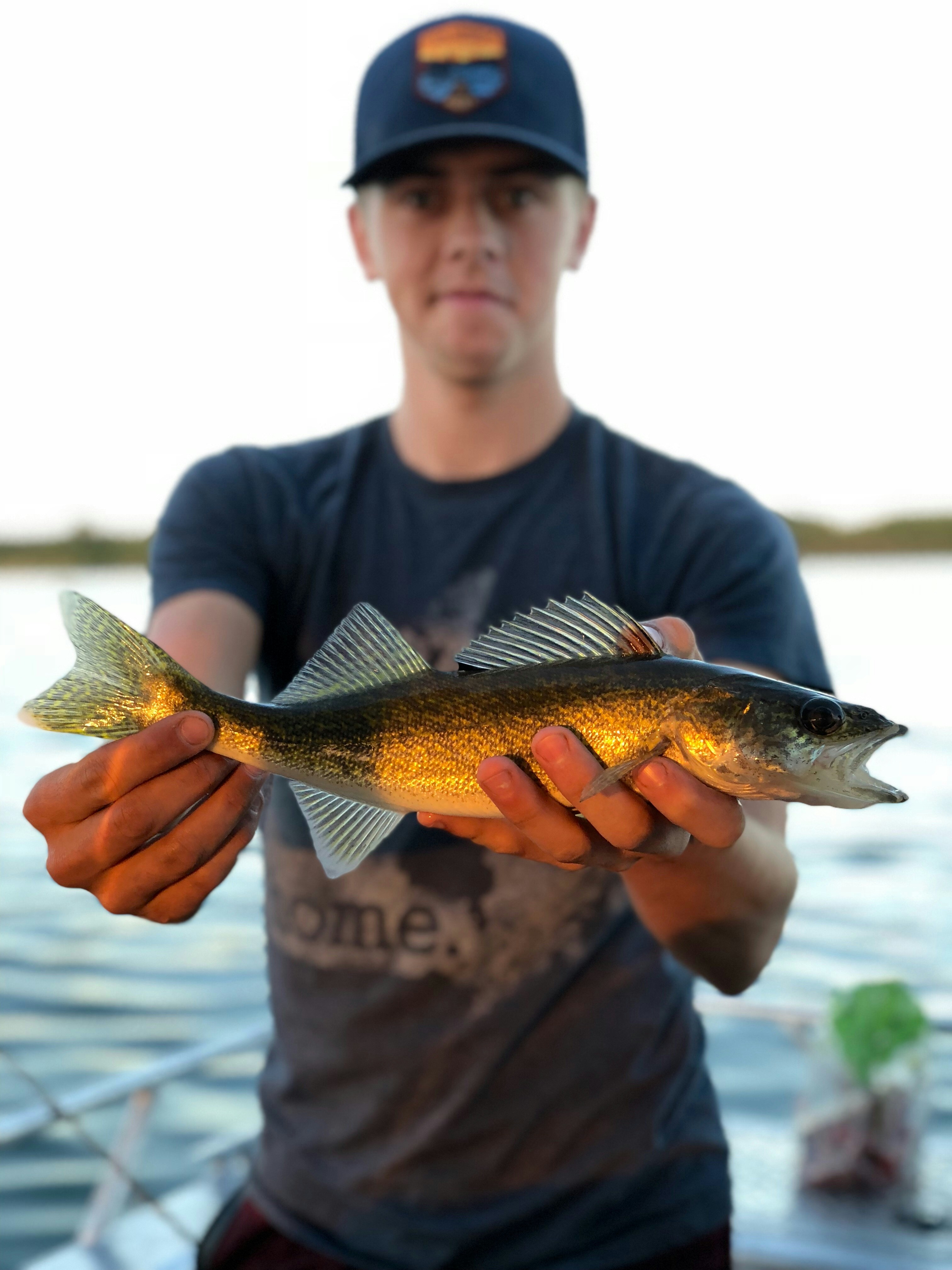 A person stands on a boat holding a freshly caught walleye fish, with a calm body of water visible in the background.