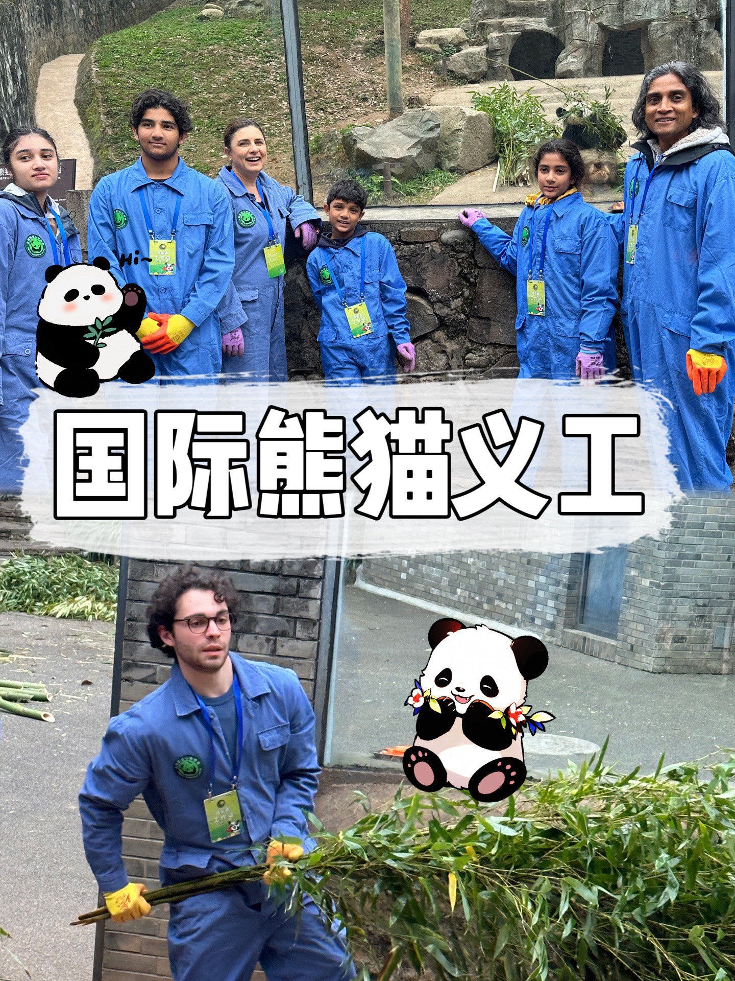 The Hard Truth: Can You Still Hug a Panda in 2026?