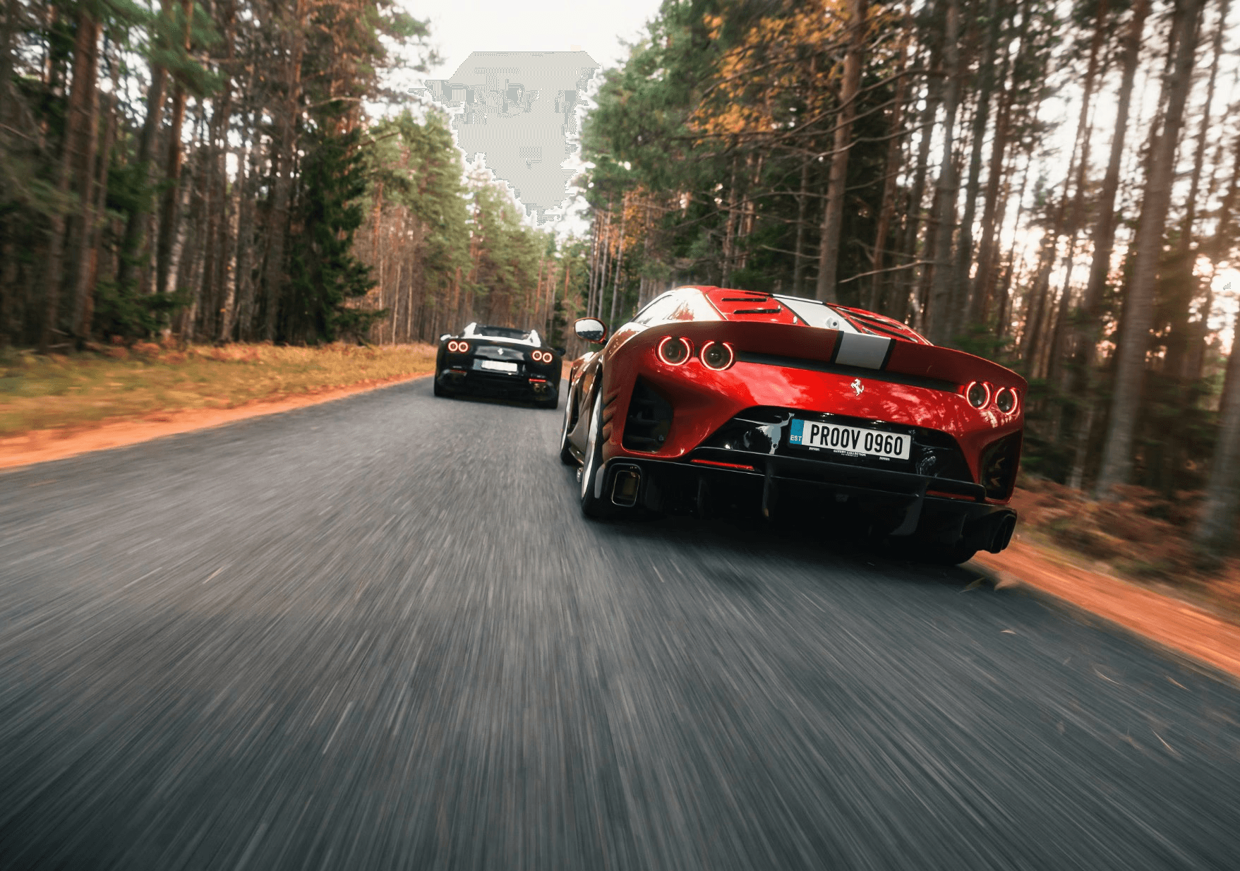 Two sports cars speed down a forested road, surrounded by tall trees, with the focus on a red car in the foreground showcasing sleek lines and modern design.