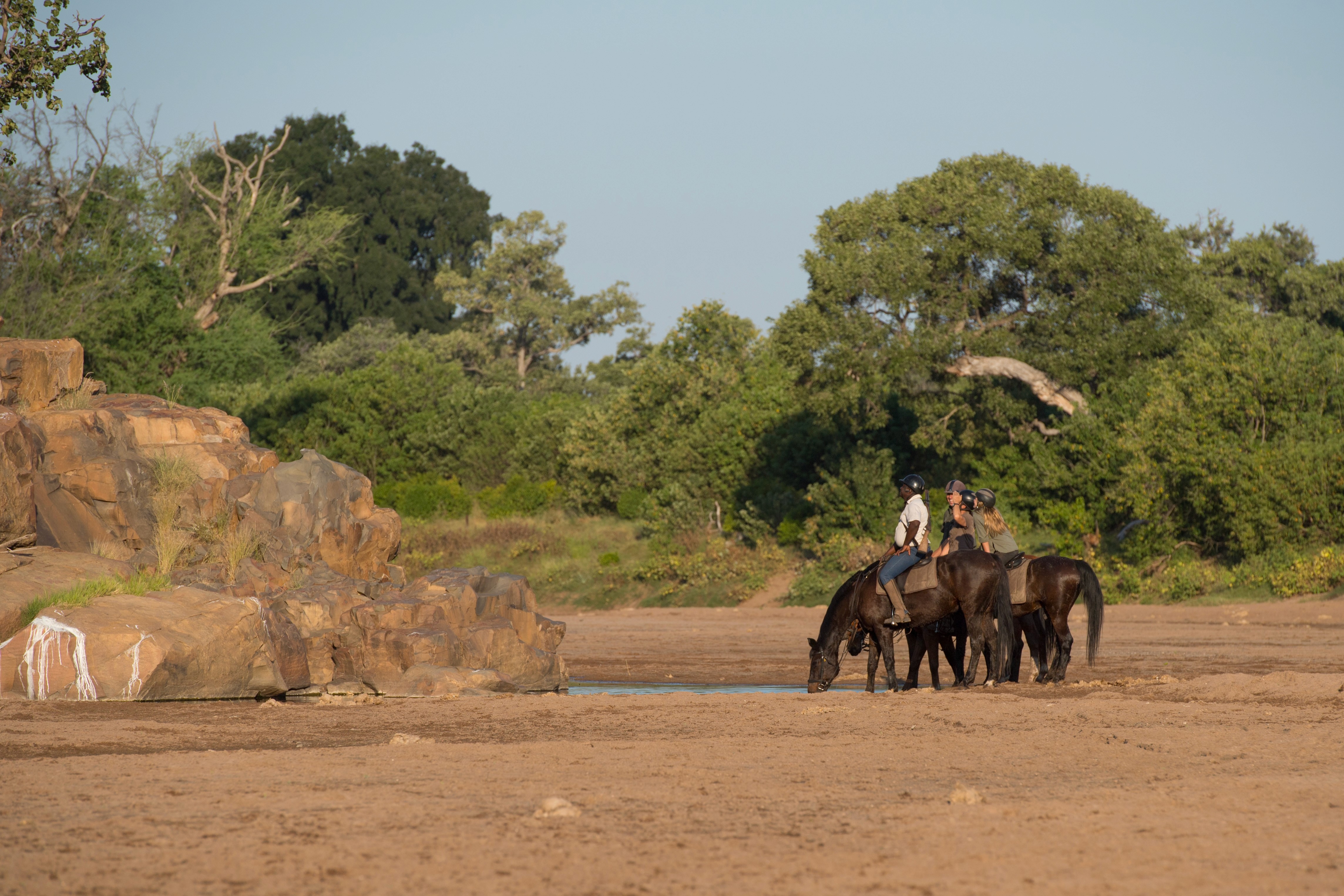 Ridsafari i Mashatu Game Reserve, Botswana – en grupp ryttare låter hästarna dricka ur floden under ridresa med Africa by Horse.