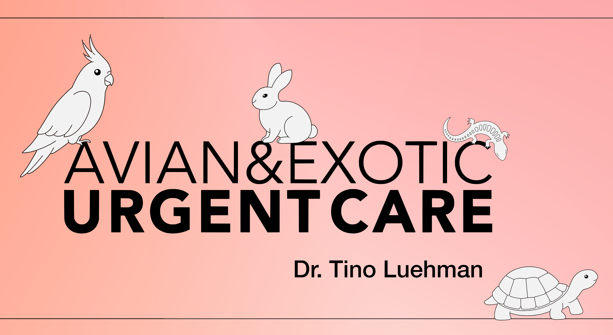 Avian & Exotic Urgent Care — Dr. Tino Luehman, urgent veterinary care for birds, rabbits, reptiles, and exotic pets, East Bay, CA