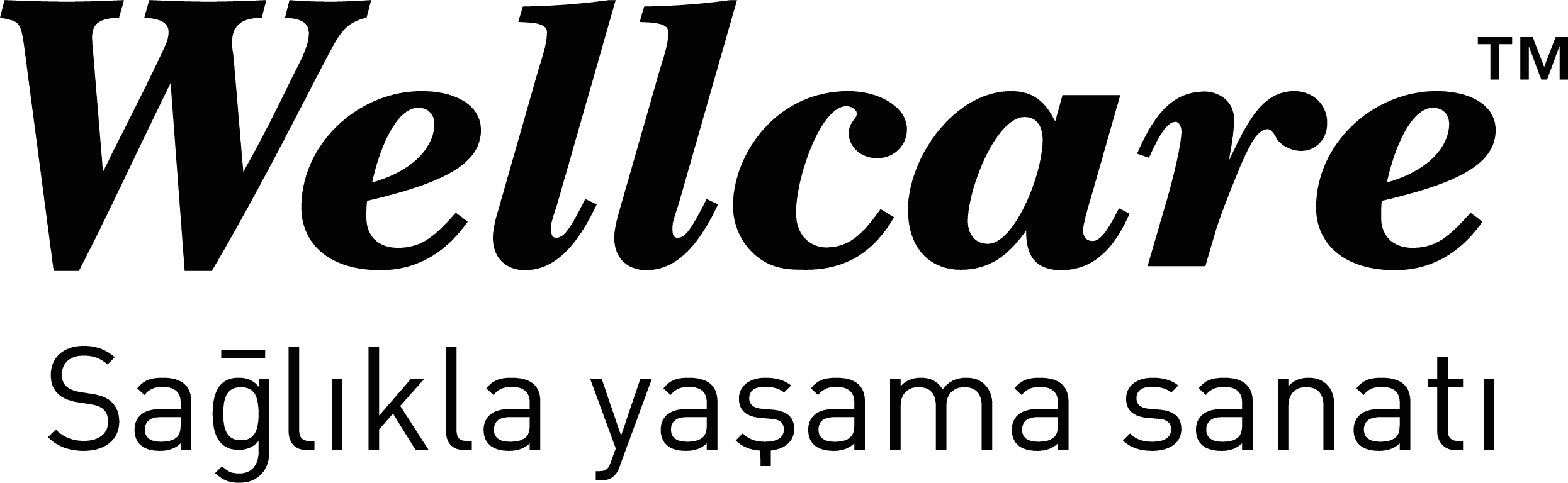 Seamona-Referans-Logosu-BBCo-Studio