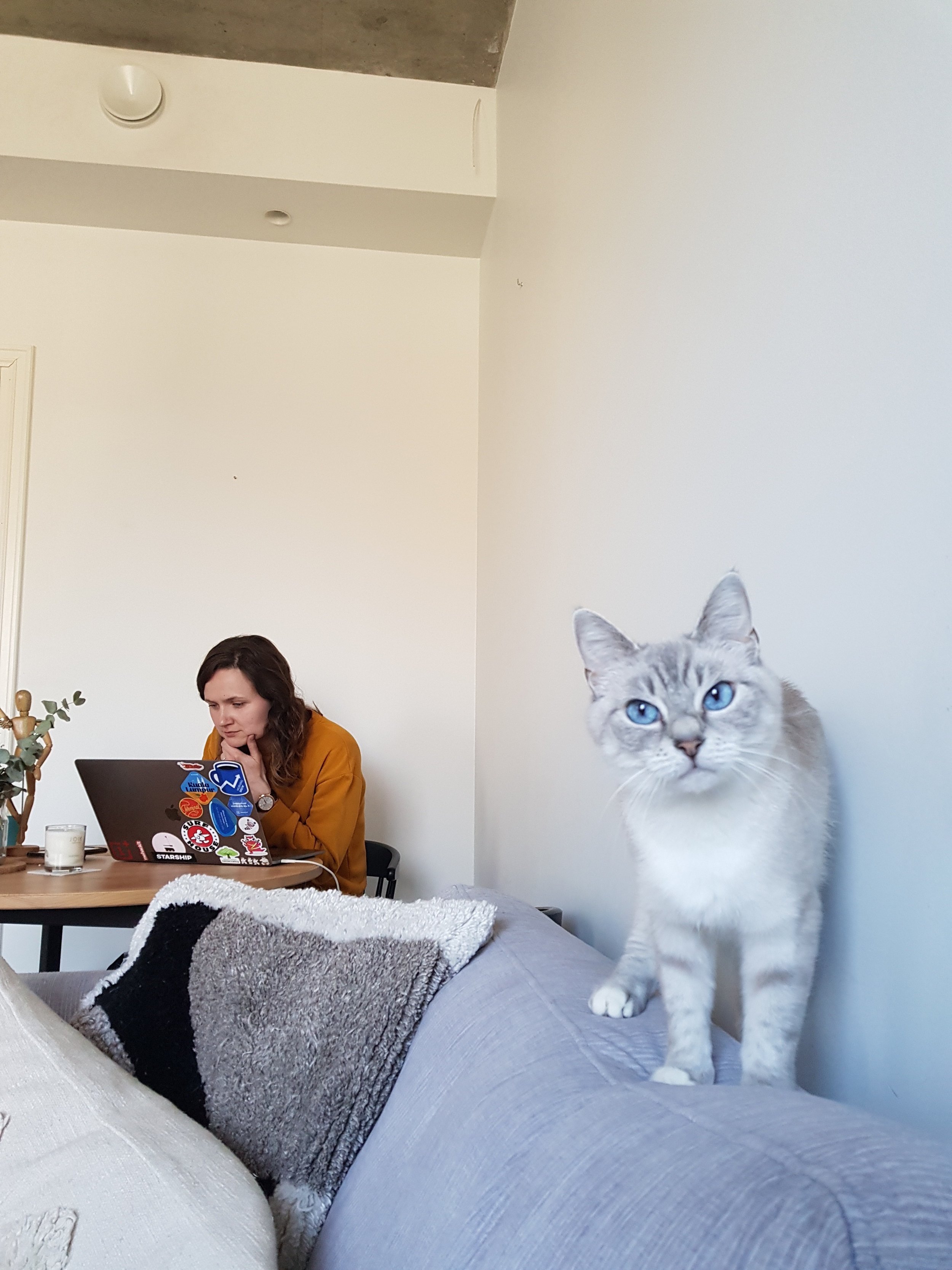  Vira and Assistant Editor Bellini “Blini” Lamp 