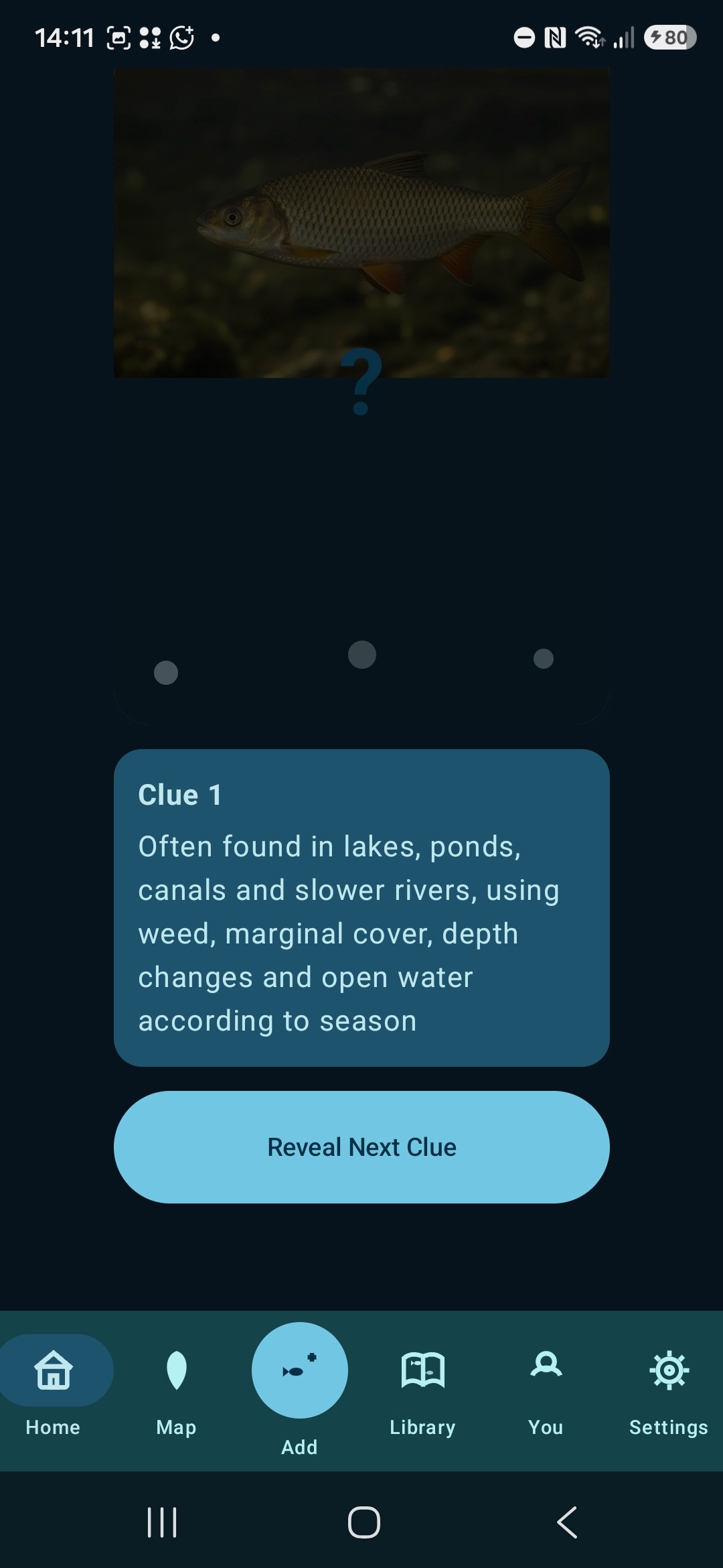 FBP_SCREEN_B10_02_Guess_the_Fish.png