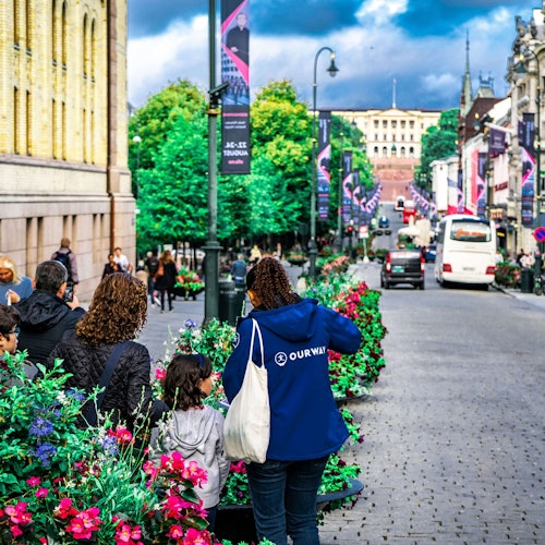 View of the Royal Palace from Karl Johans gate
