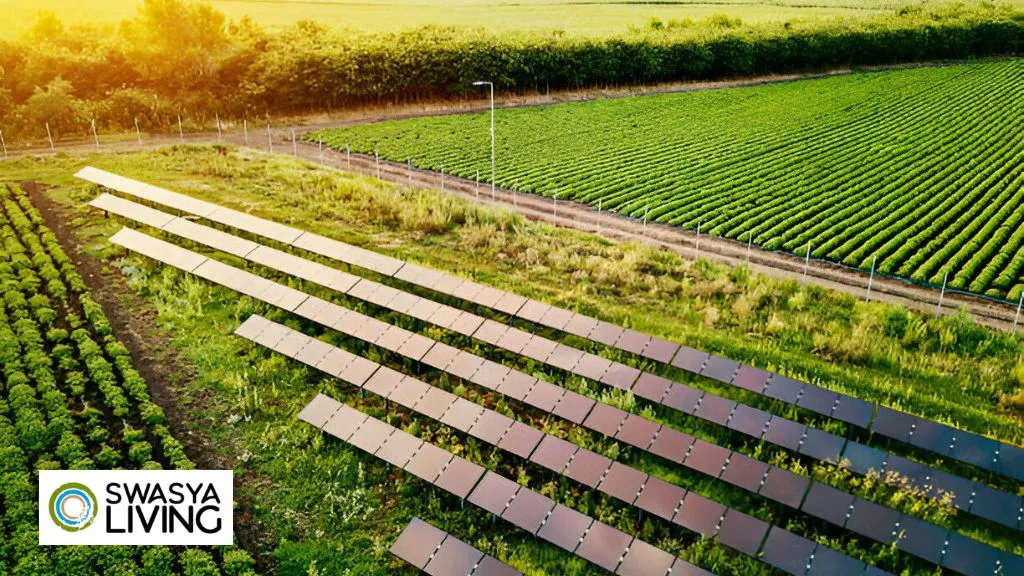 Farmland Development Turning Empty Fields into Thriving Opportunities