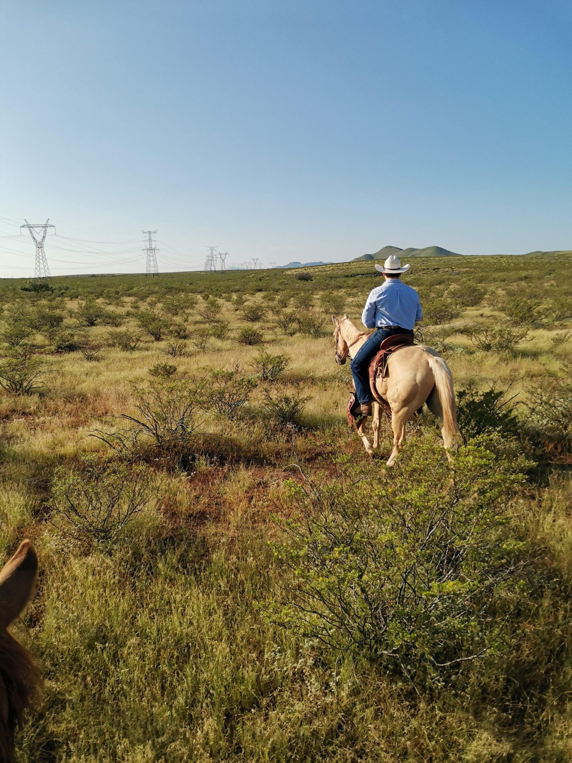Neon-Outlined Sportsman in Motion