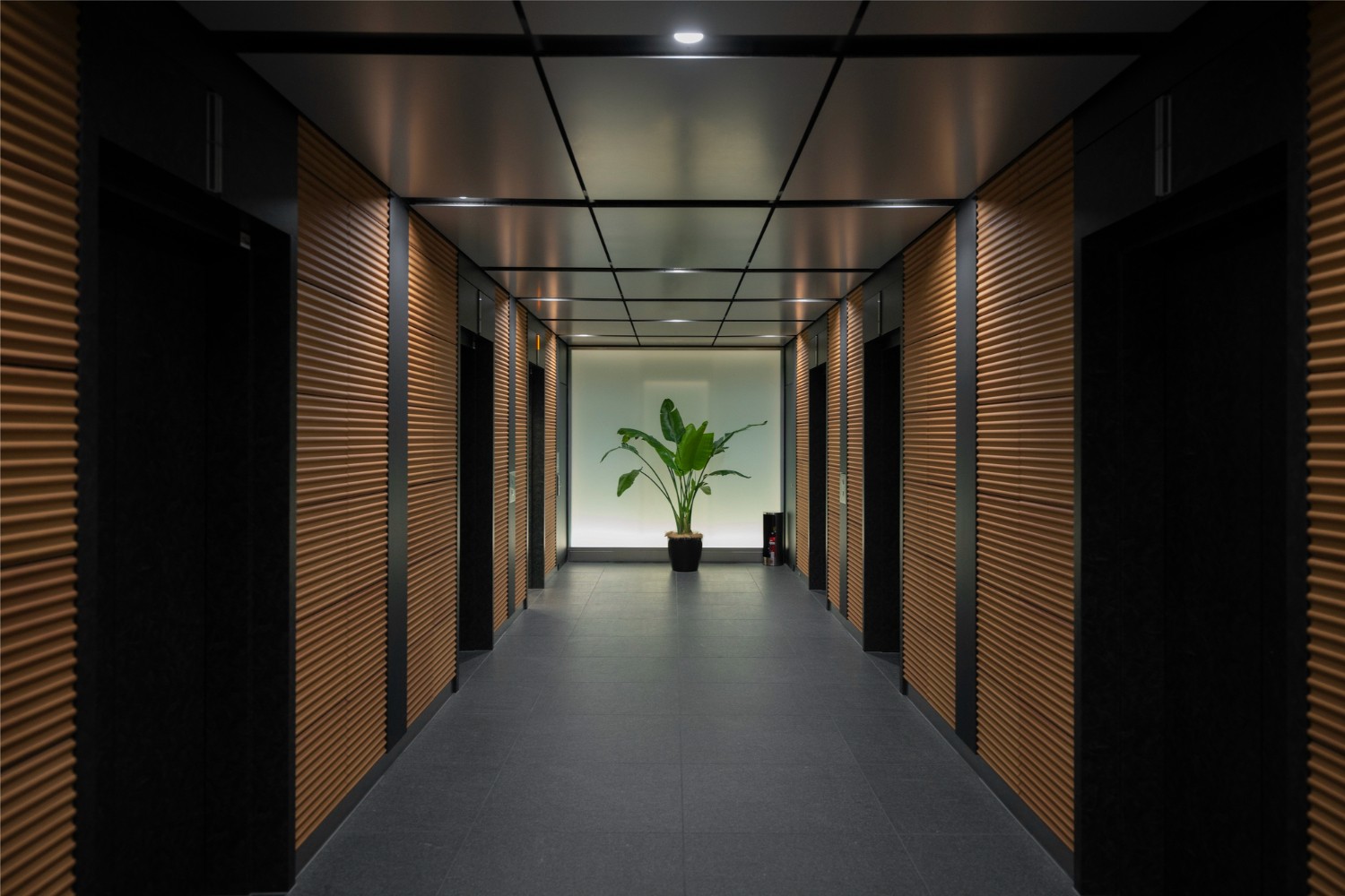 Image Details