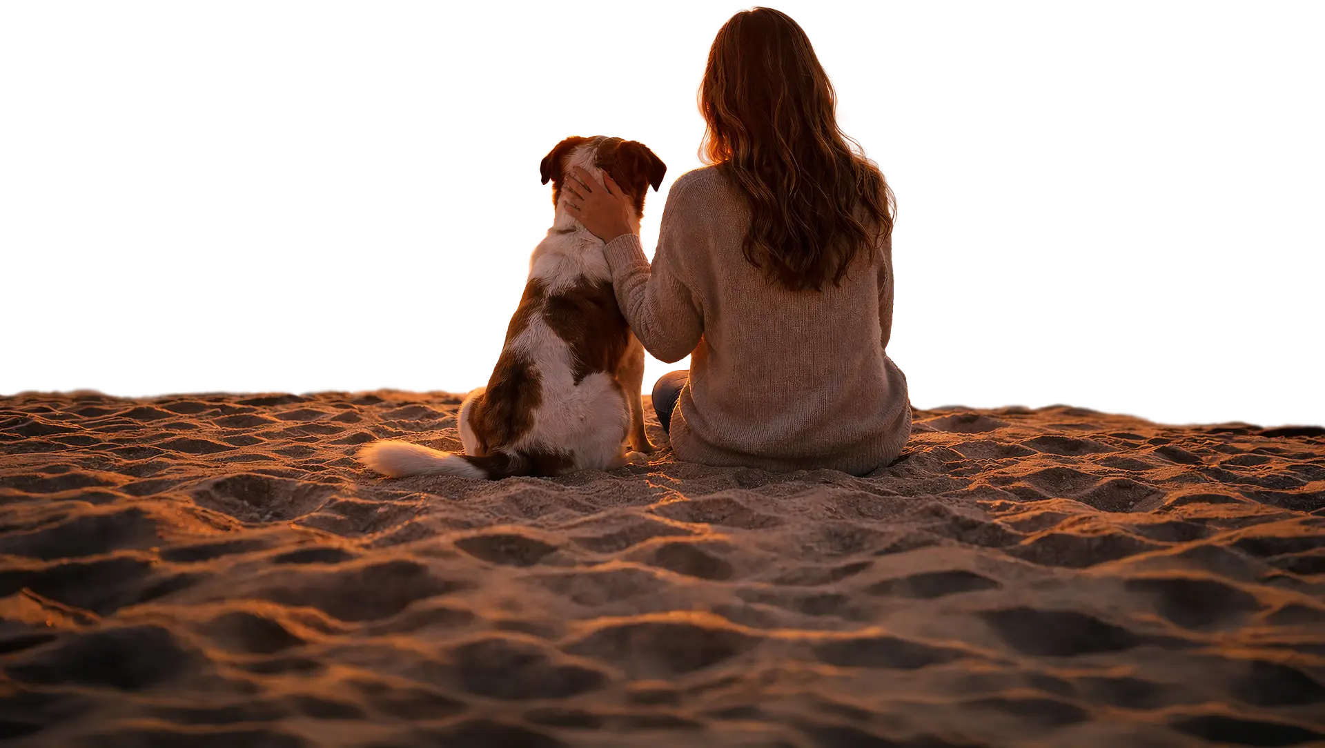 A pet owner is sitting down on the sand along the beach with her dog.