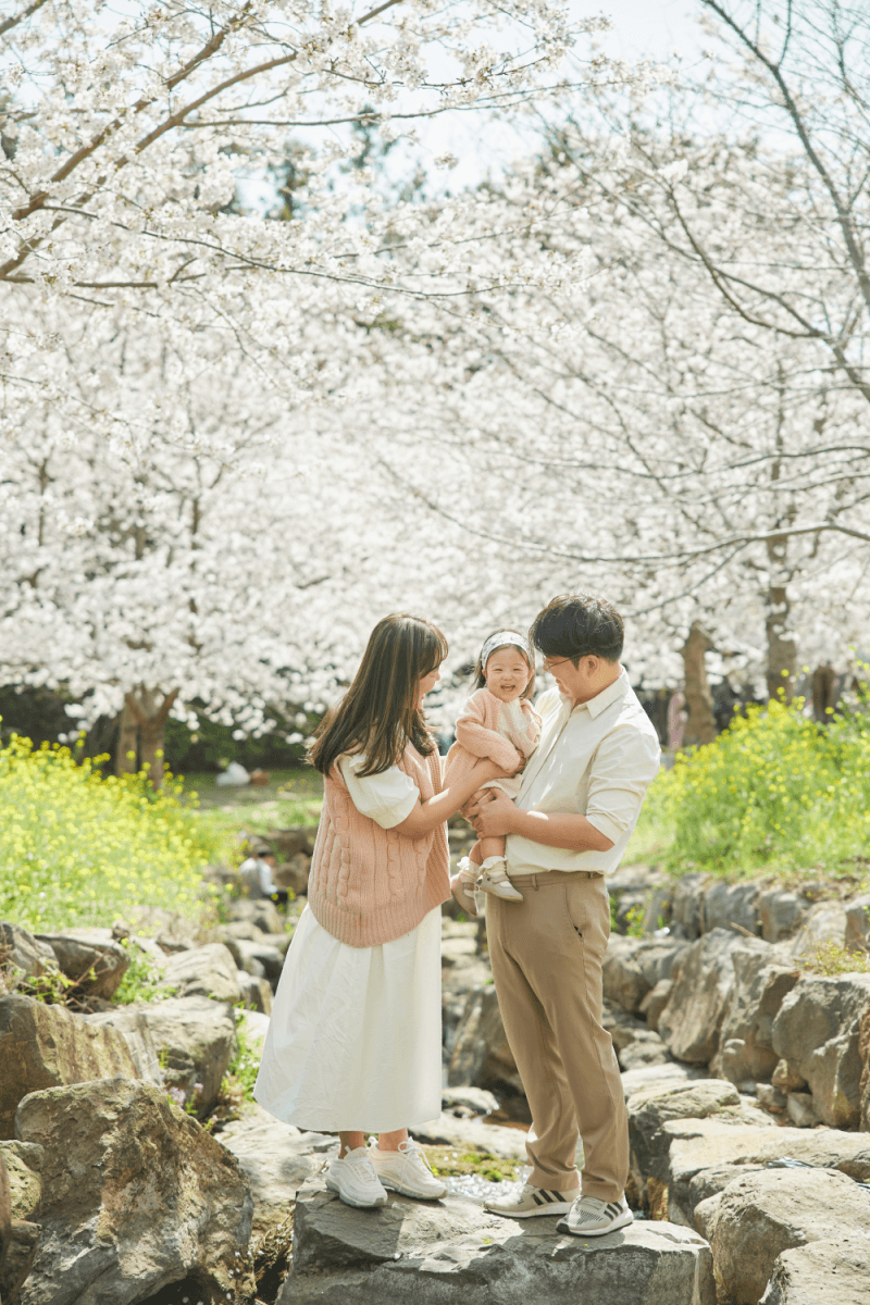 서울 벚꽃스냅 촬영 웨딩준비 기념일 | 작가추천 디어데이스냅