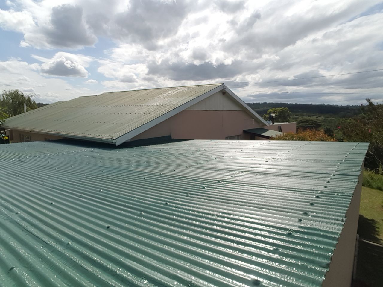 Residential roof coated with Eco Rubber