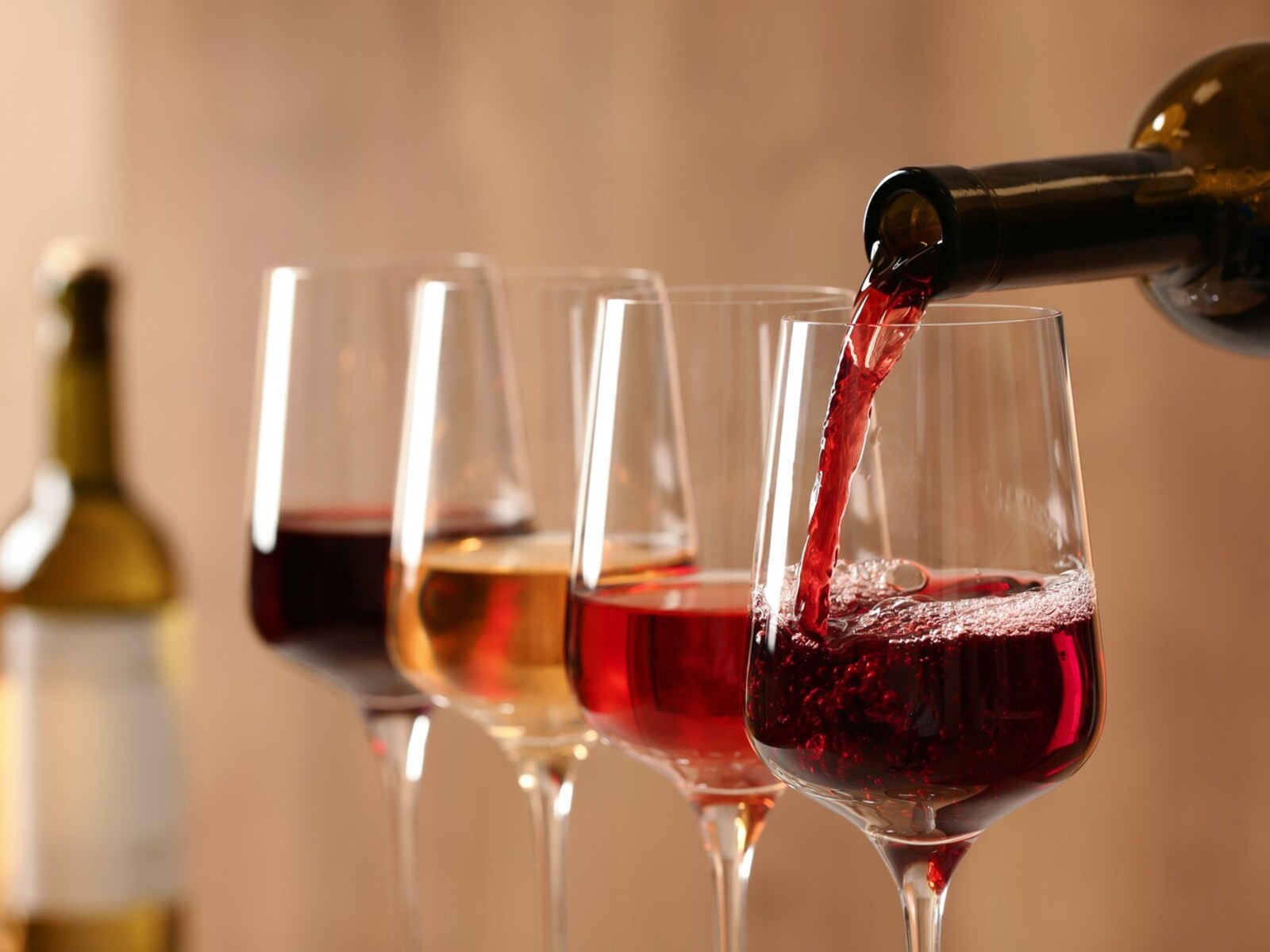 what to eat after cardio workout to lose weight