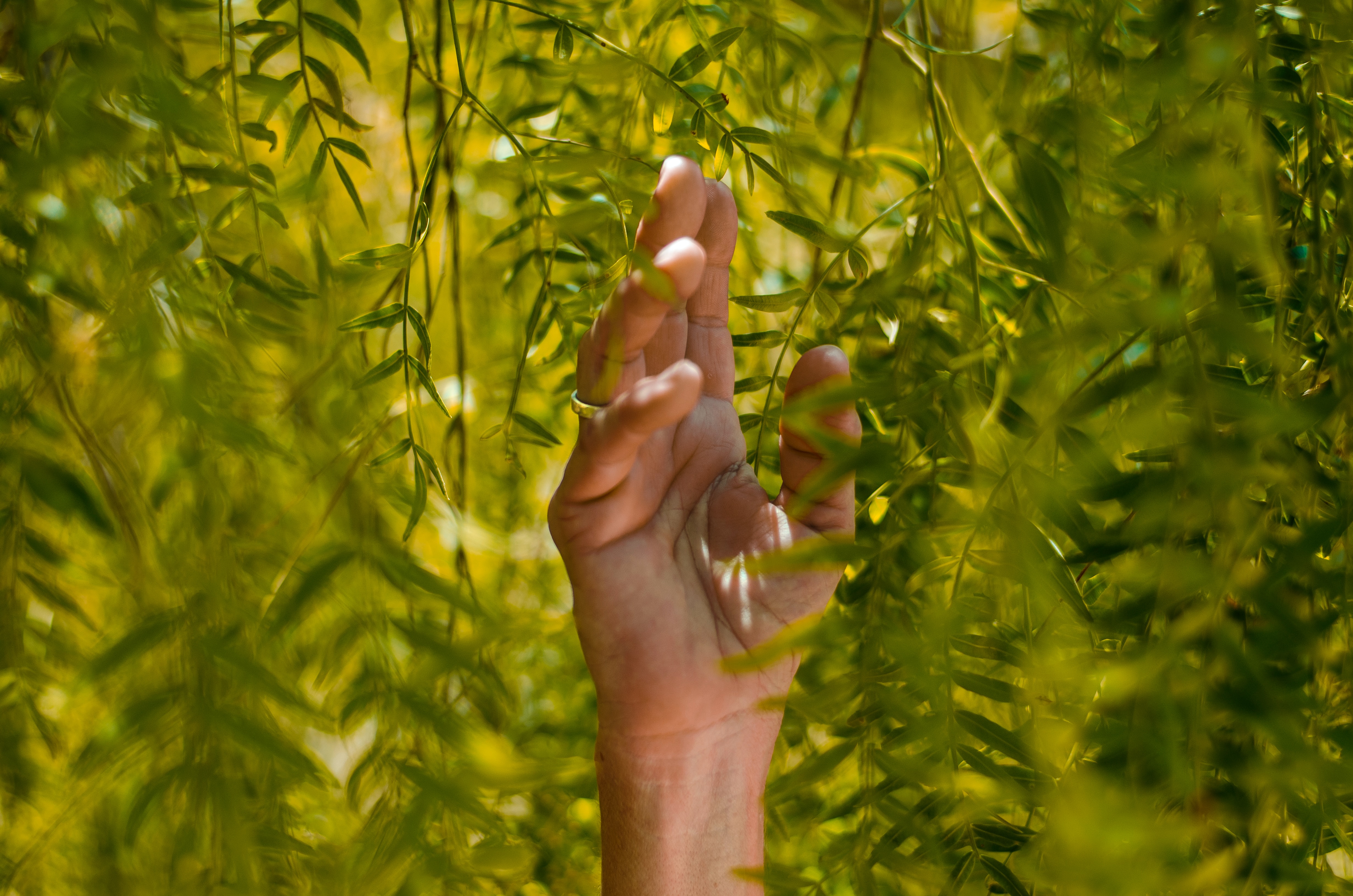 Hand tussen groene planten