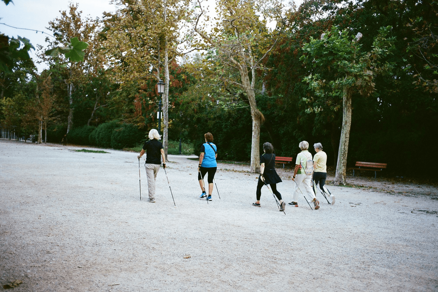 Five older adults out together on a group walk along a park path, walking poles in hand.