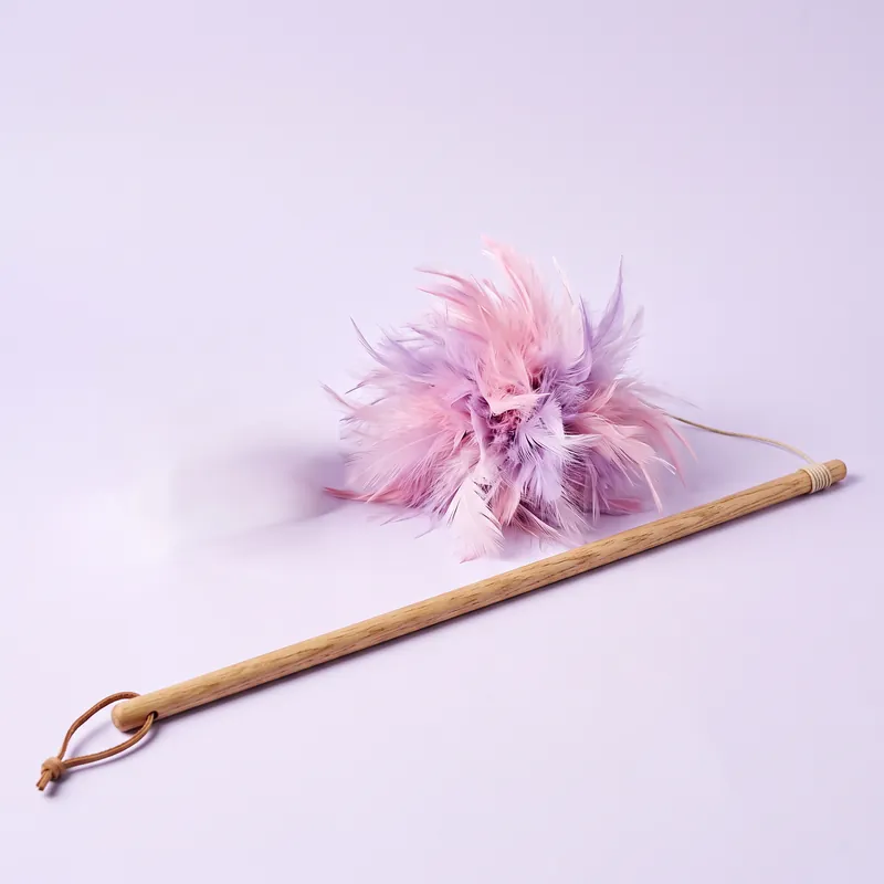 Feather wand cat toy