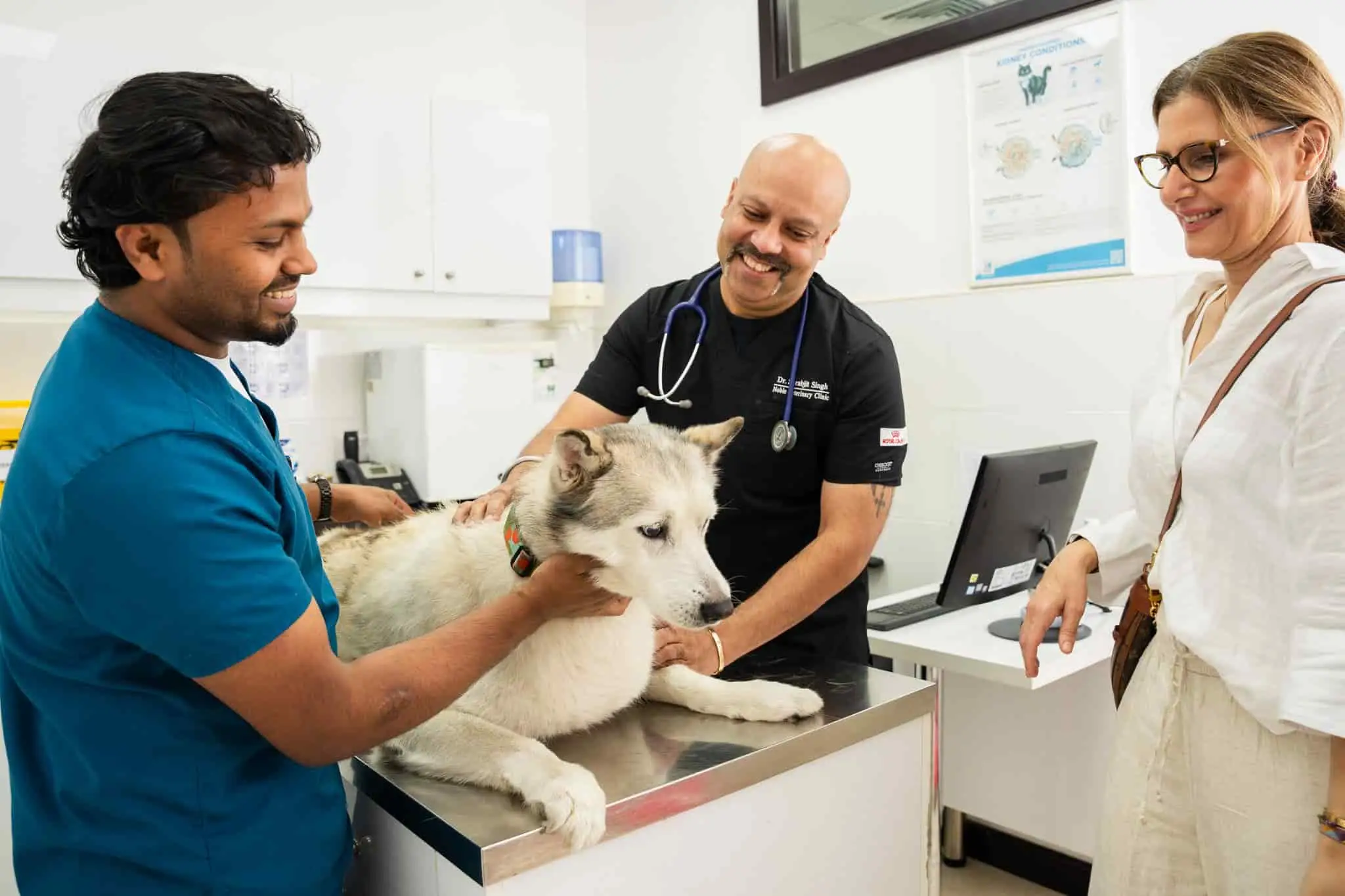 Two veterinarians are preparing a dog for radiograph testing while talking to the pet owner.