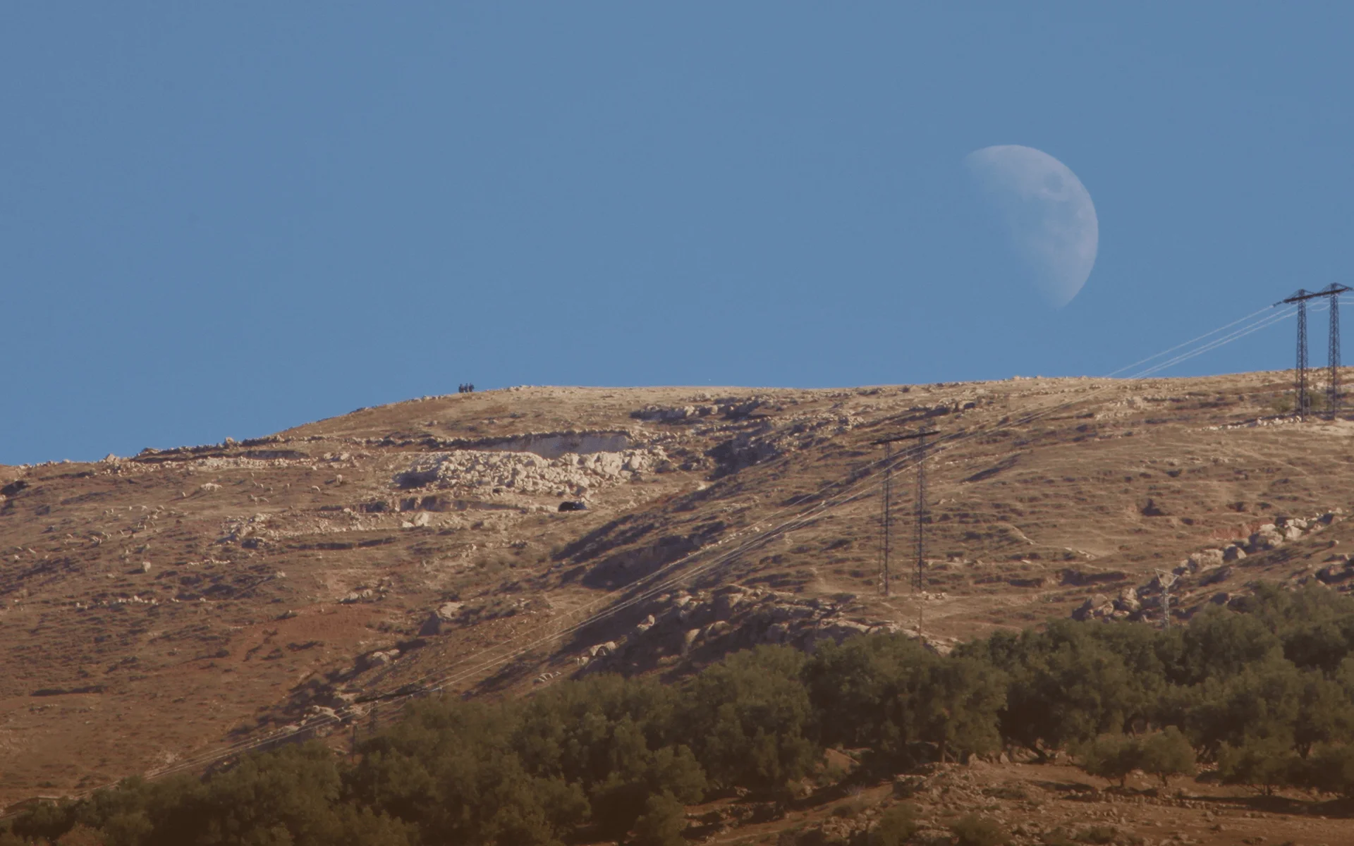 Woman standing on the balcony